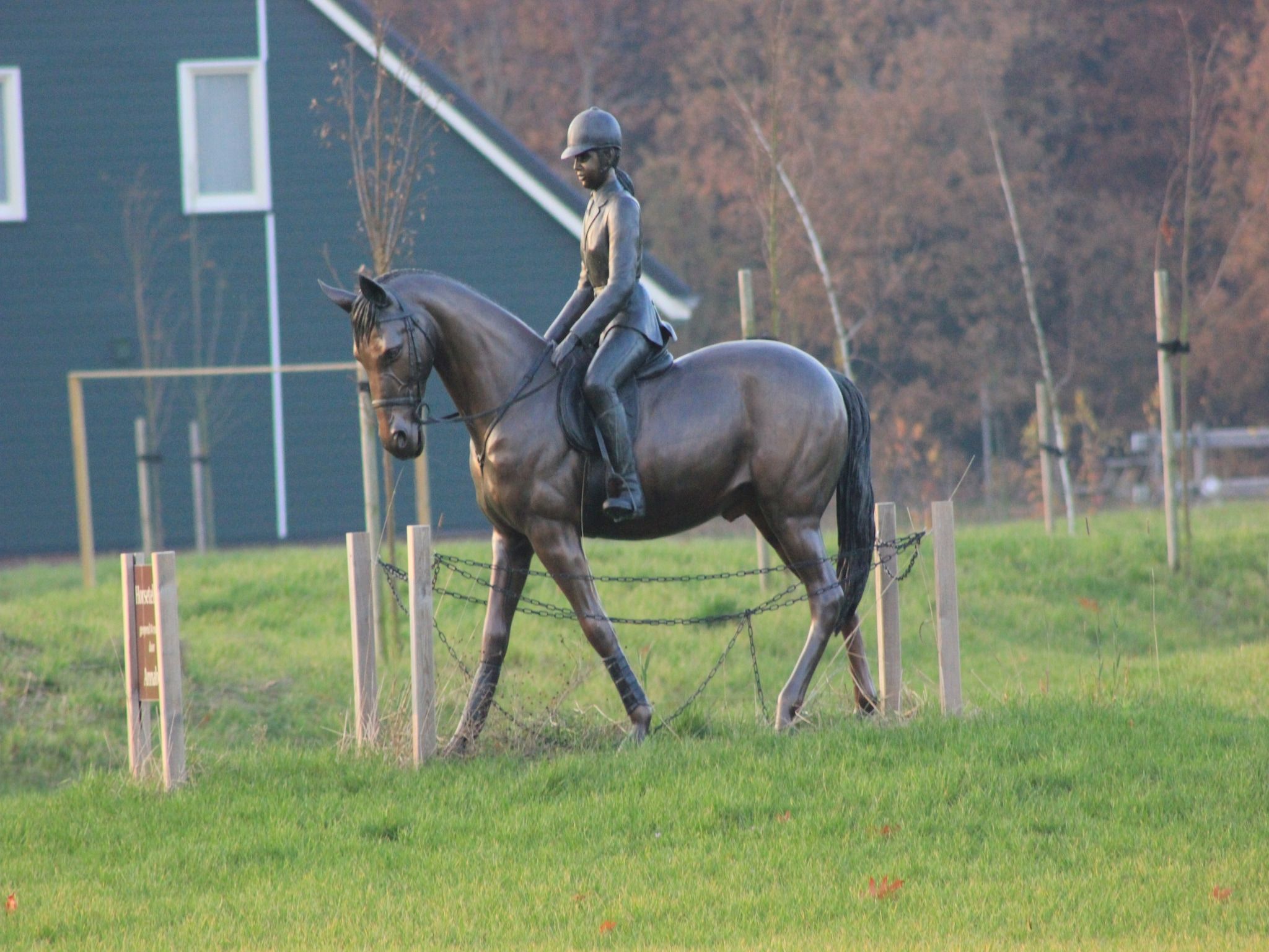 Sfeerbeeld van Vakantiepark Horsetellerie 4 in Hardenberg (rheezerveen)