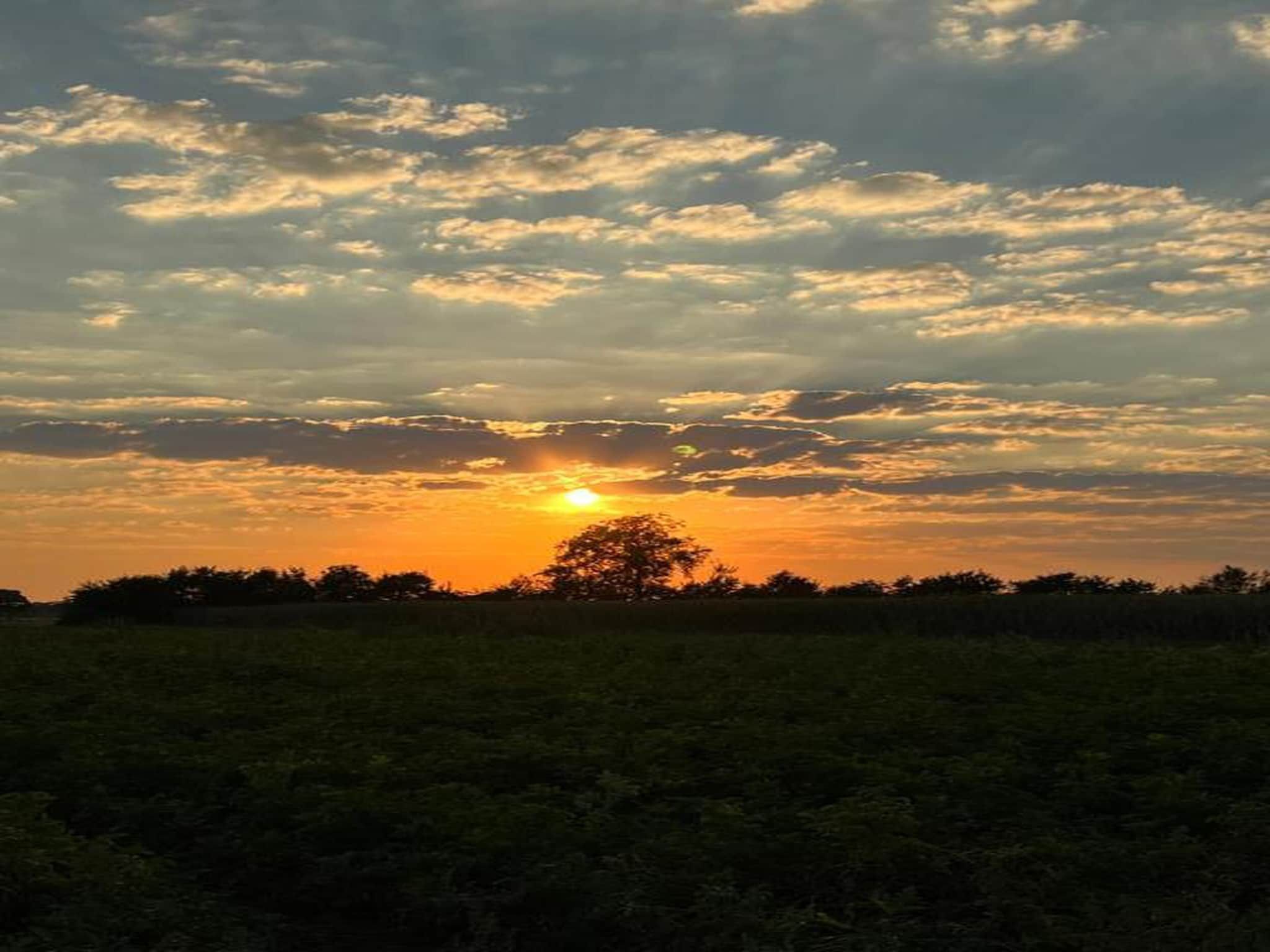 Vakantiepark Horsetellerie 4 in Hardenberg (rheezerveen) - Foto 29 van 40