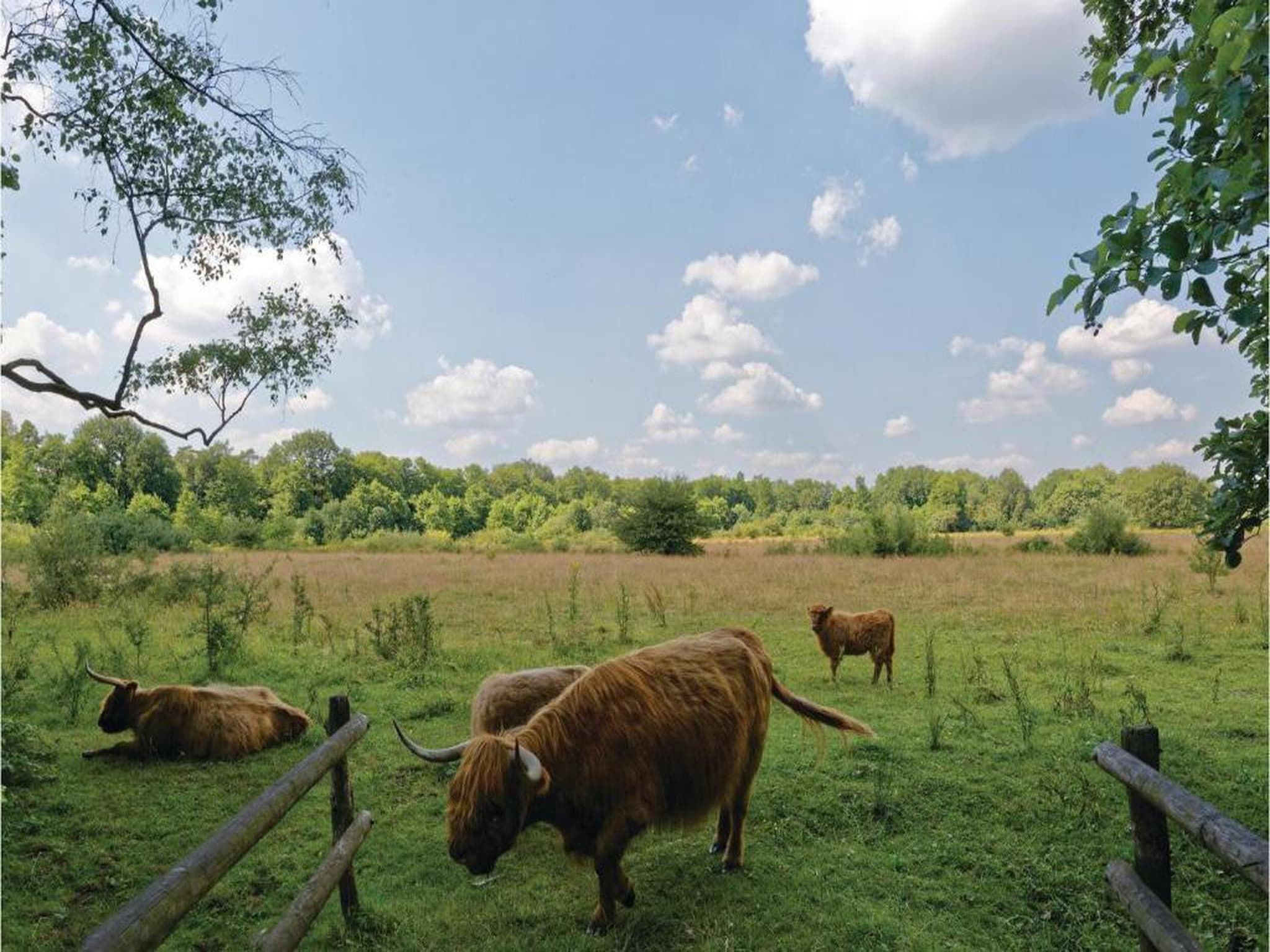 Vakantiepark Horsetellerie 4 in Hardenberg (rheezerveen) - Foto 37 van 40