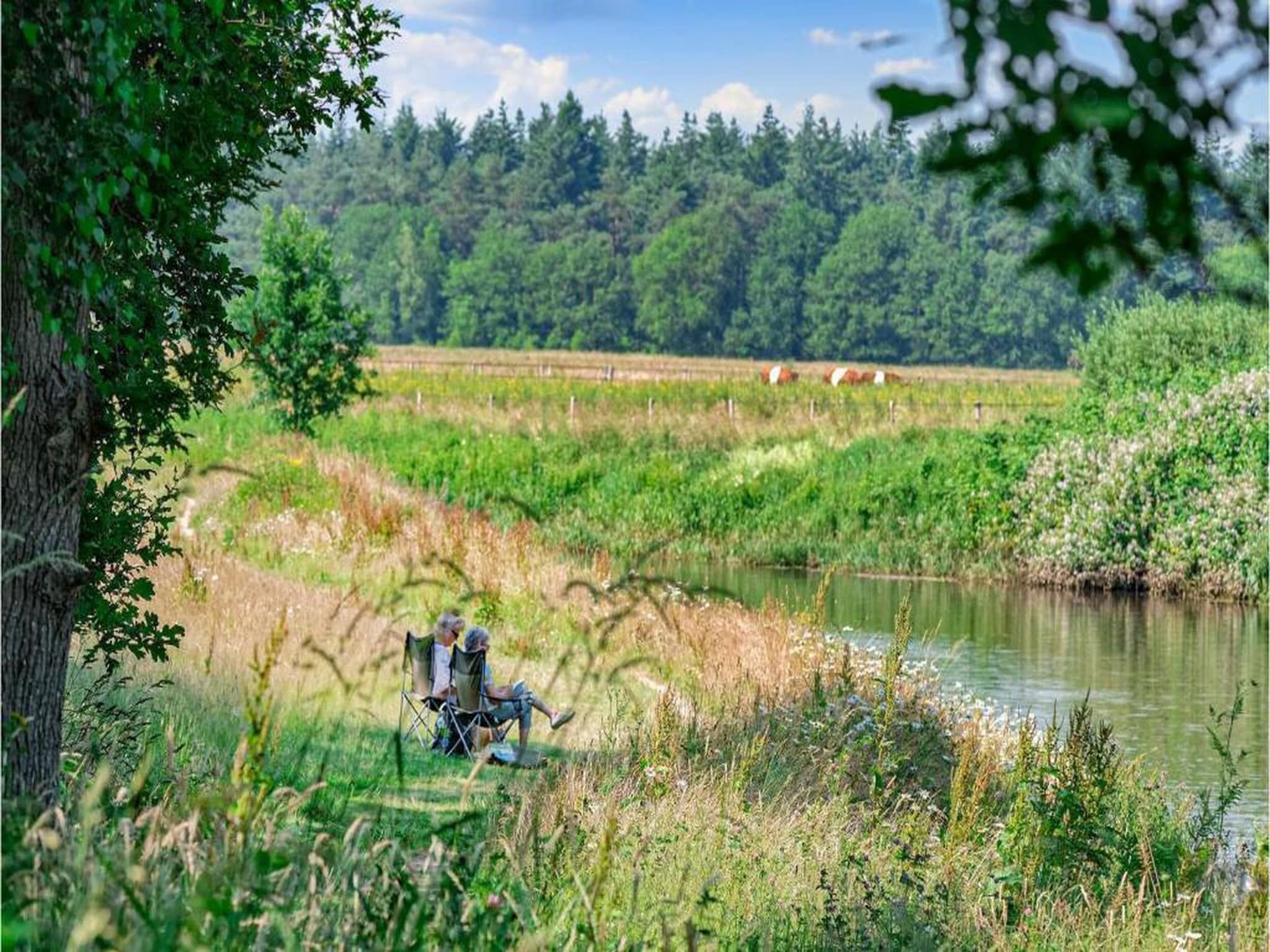 Vakantiepark Horsetellerie 4 in Hardenberg (rheezerveen) - Foto 38 van 40