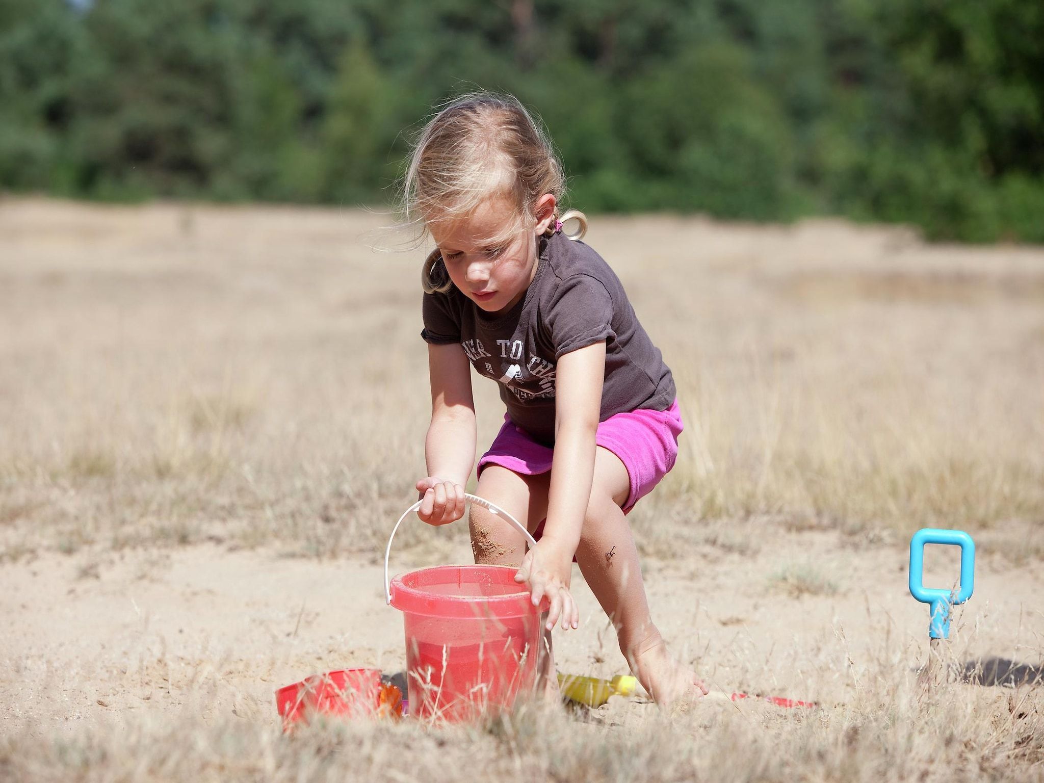 Sfeerbeeld van Vakantiepark de Berkenhorst 2 in Kootwijk