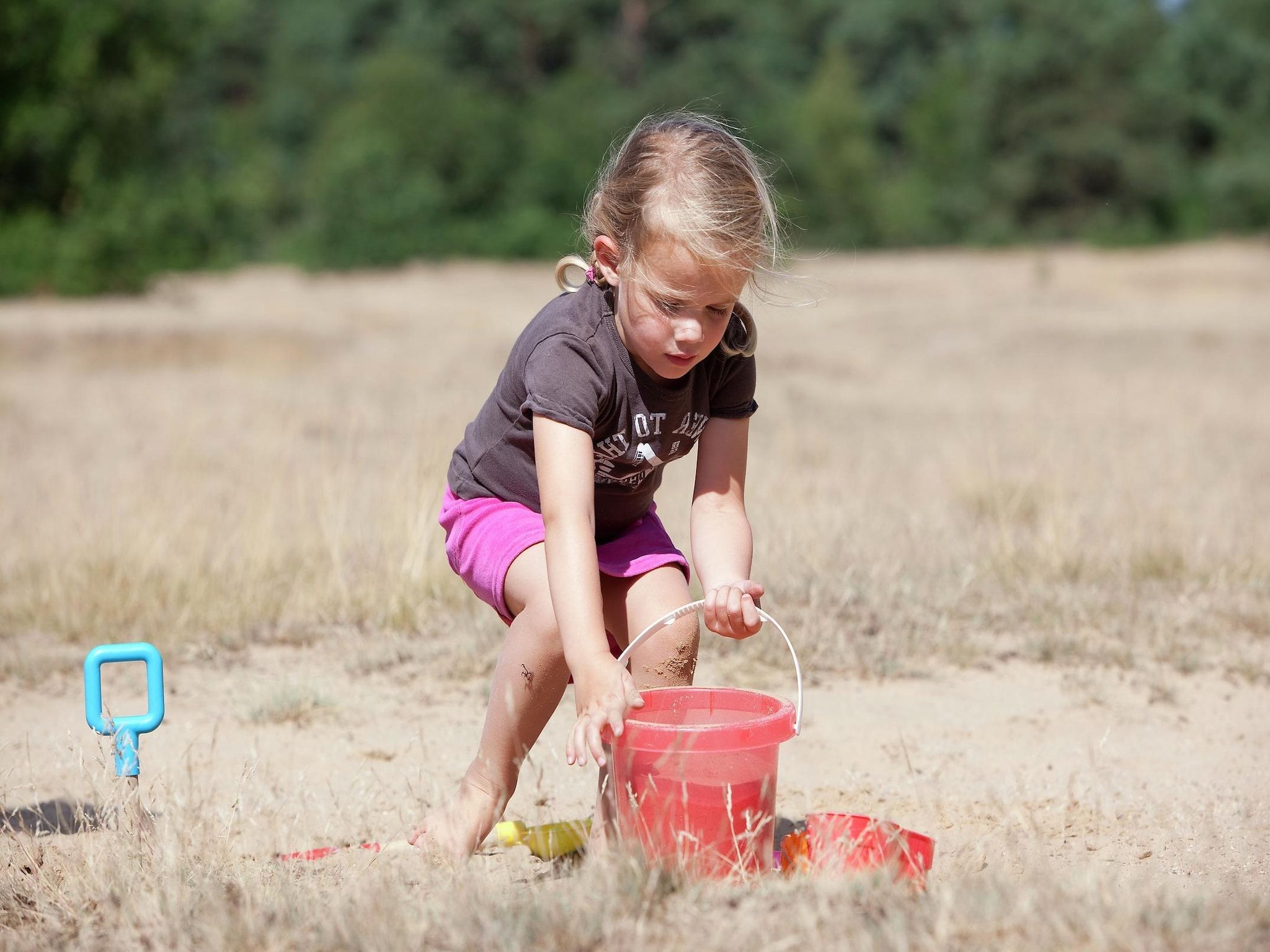 Sfeerbeeld van Vakantiepark de Berkenhorst 2 in Kootwijk