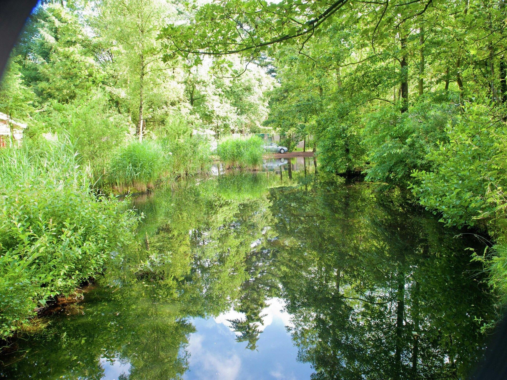 Vakantiepark de Berkenhorst 2 in Kootwijk - Foto 14 van 34