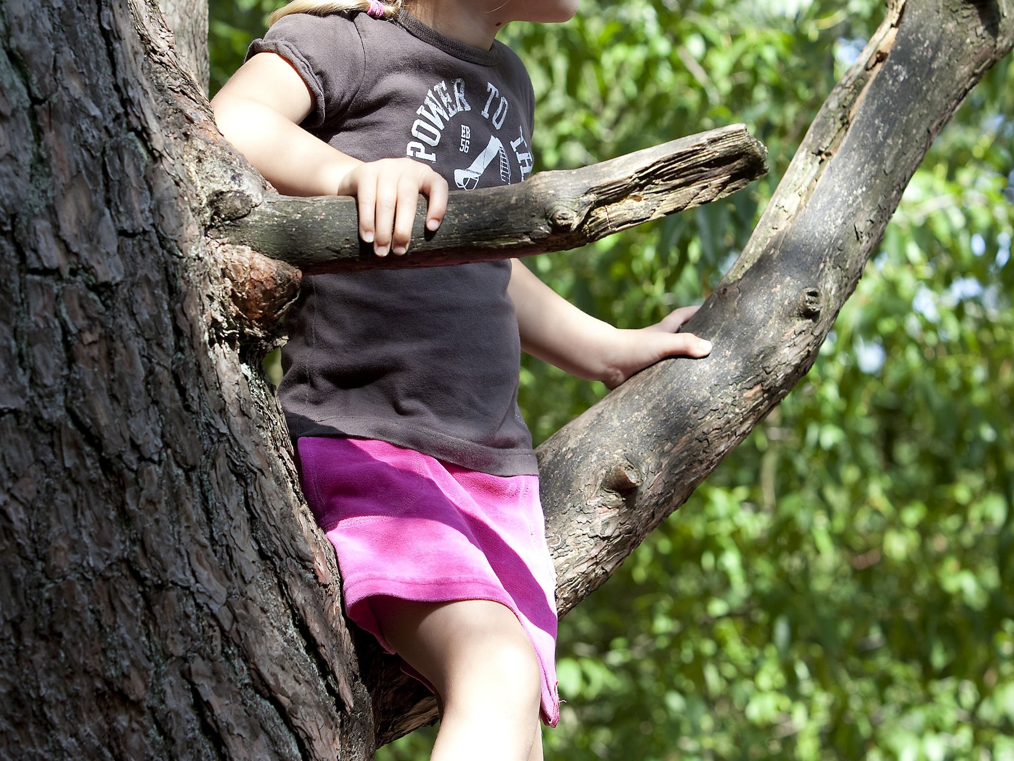 Vakantiepark de Berkenhorst 6 in Kootwijk - Foto 9 van 13