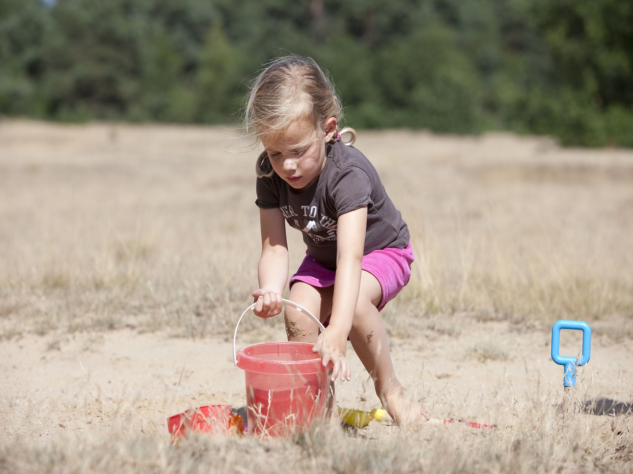 Vakantiepark de Berkenhorst 6 in Kootwijk - Foto 10 van 13