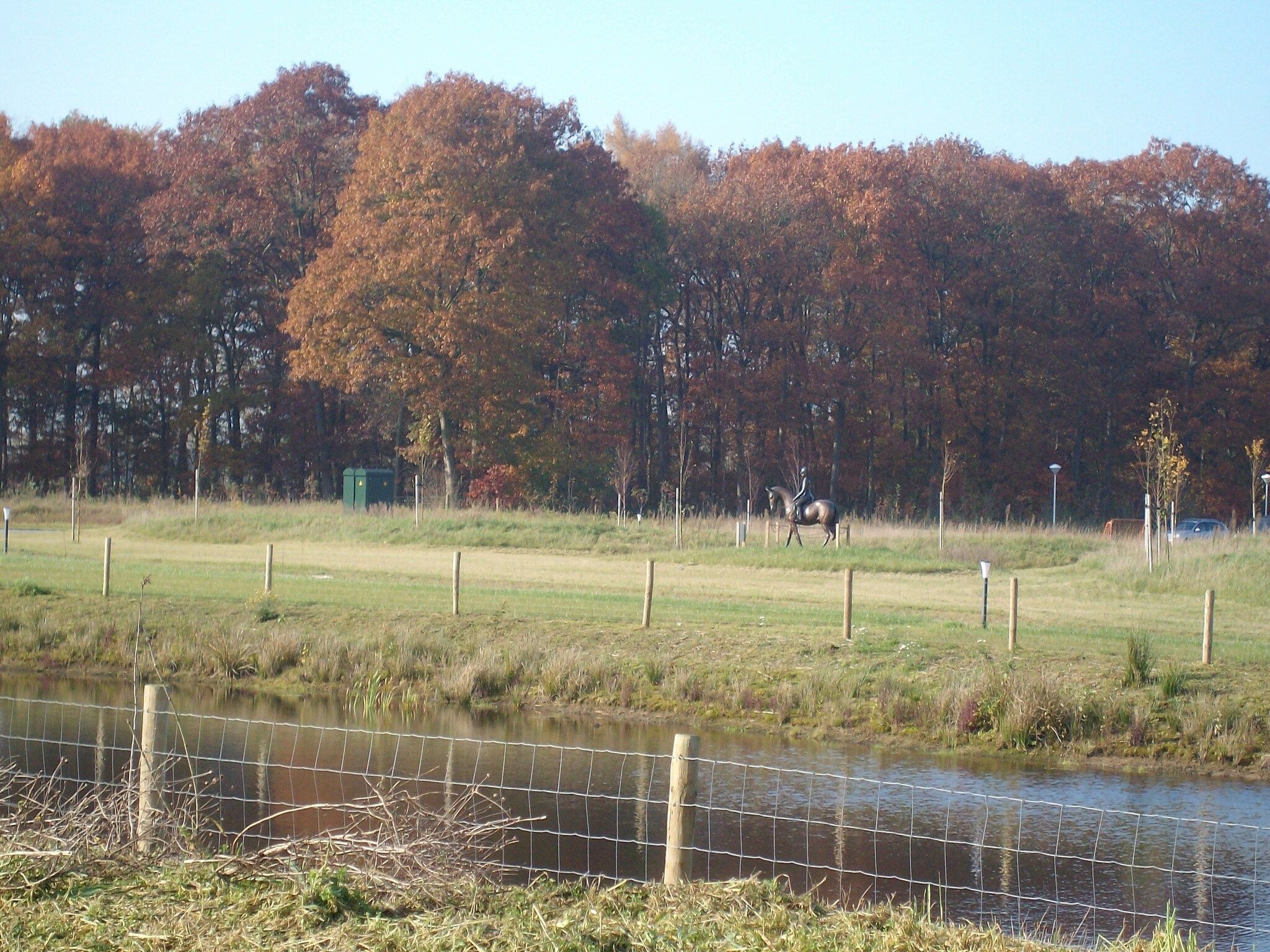 De tuin van Vakantiepark Horsetellerie 7 in Hardenberg (rheezerveen)