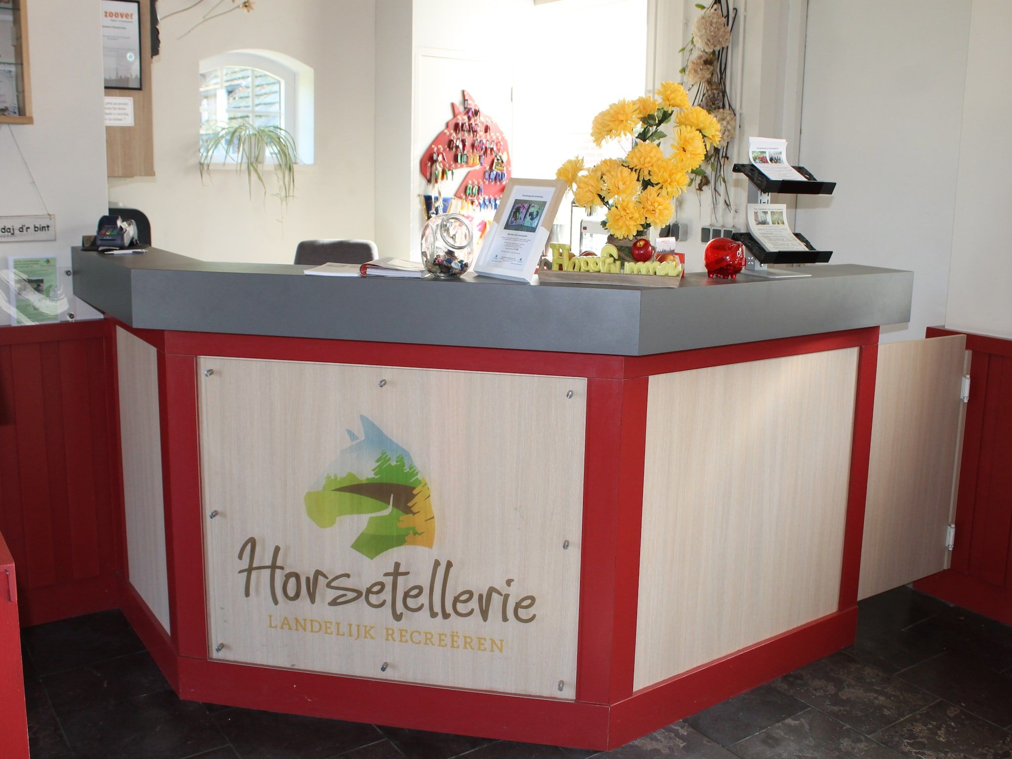 Vakantiepark Horsetellerie 7 in Hardenberg (rheezerveen) - Foto 8 van 41