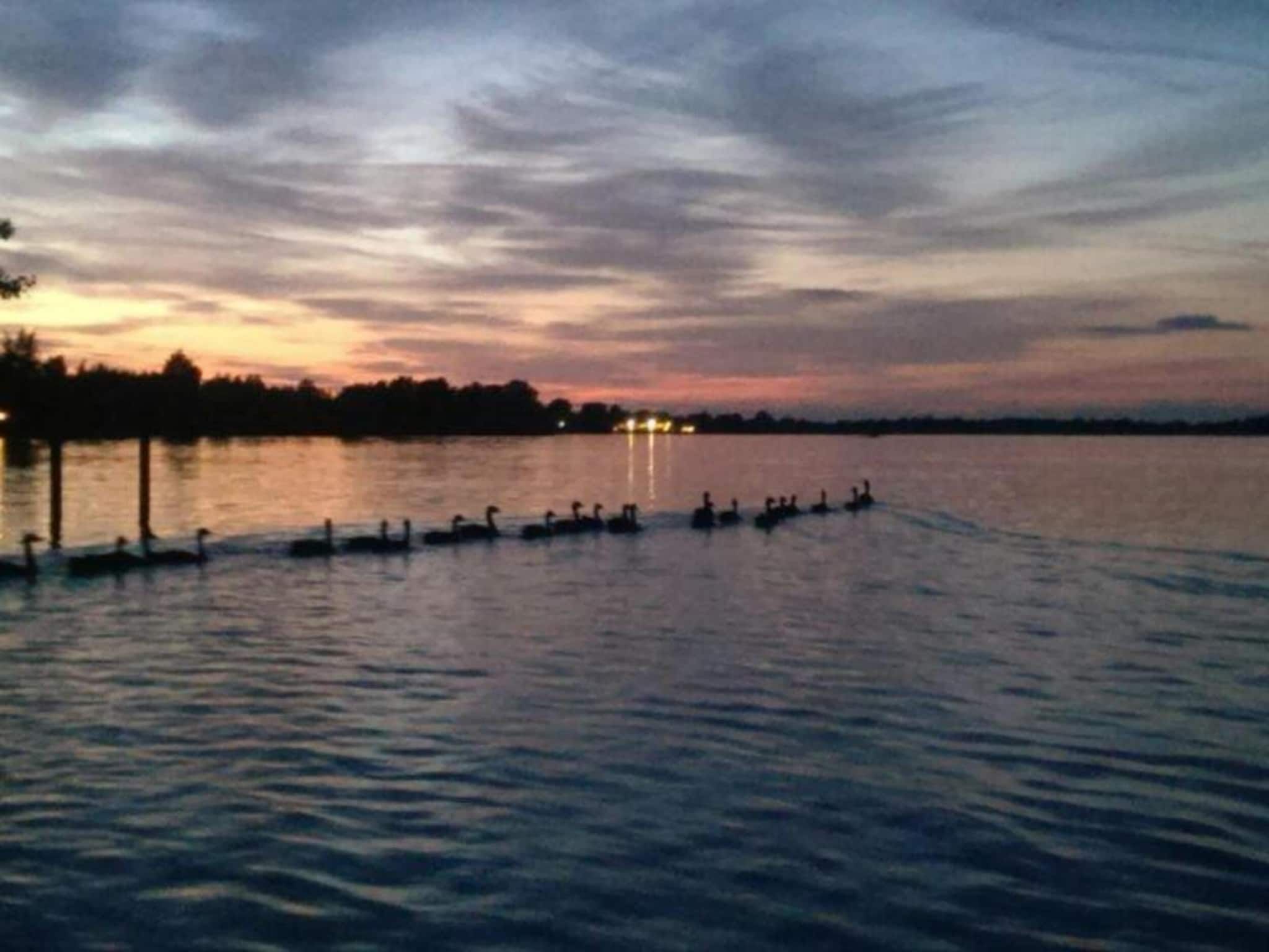 Waterpark Belterwiede 3 in Wanneperveen - Foto 33 van 40