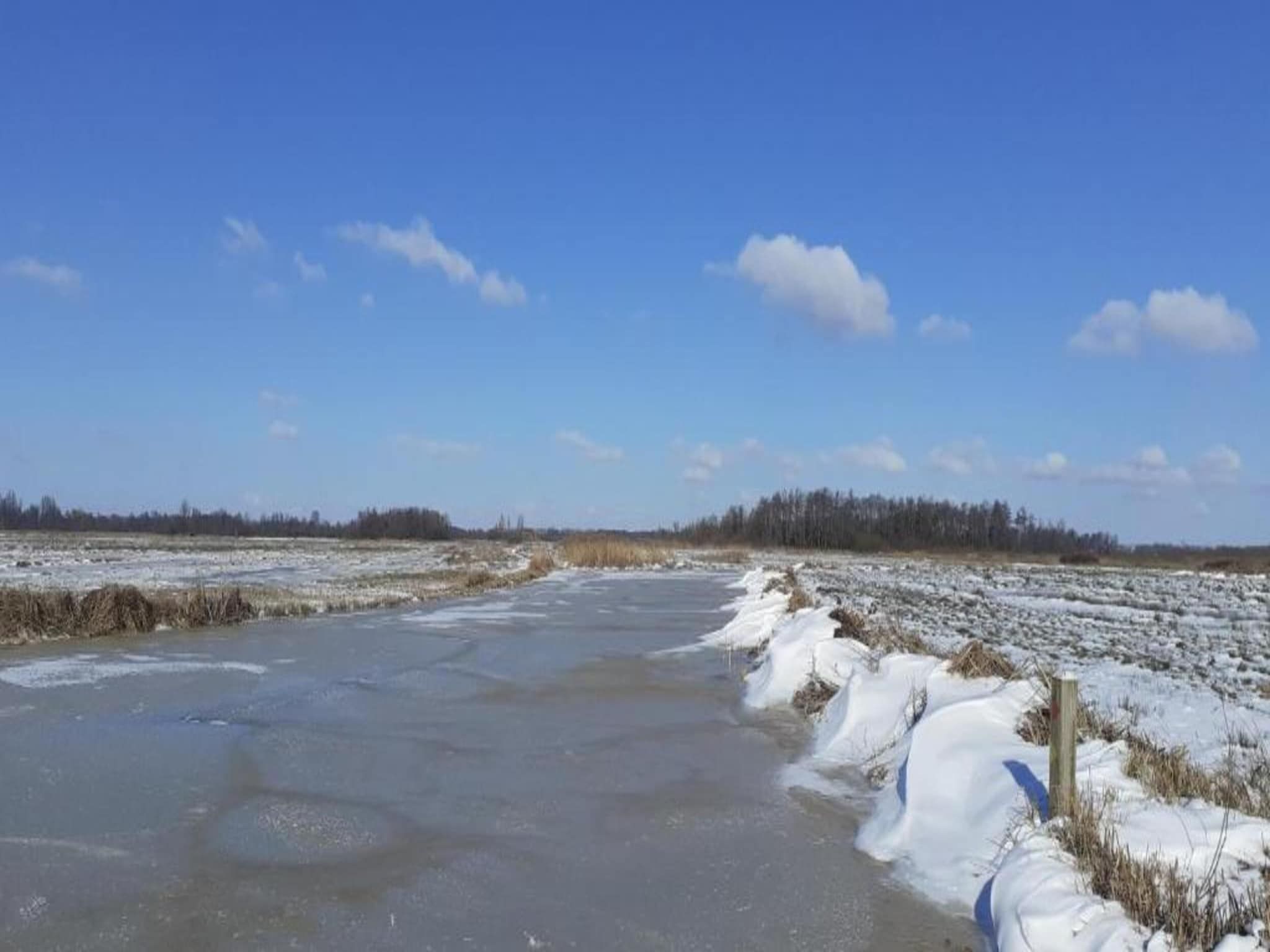 Waterpark Belterwiede 4 in Wanneperveen - Foto 38 van 40