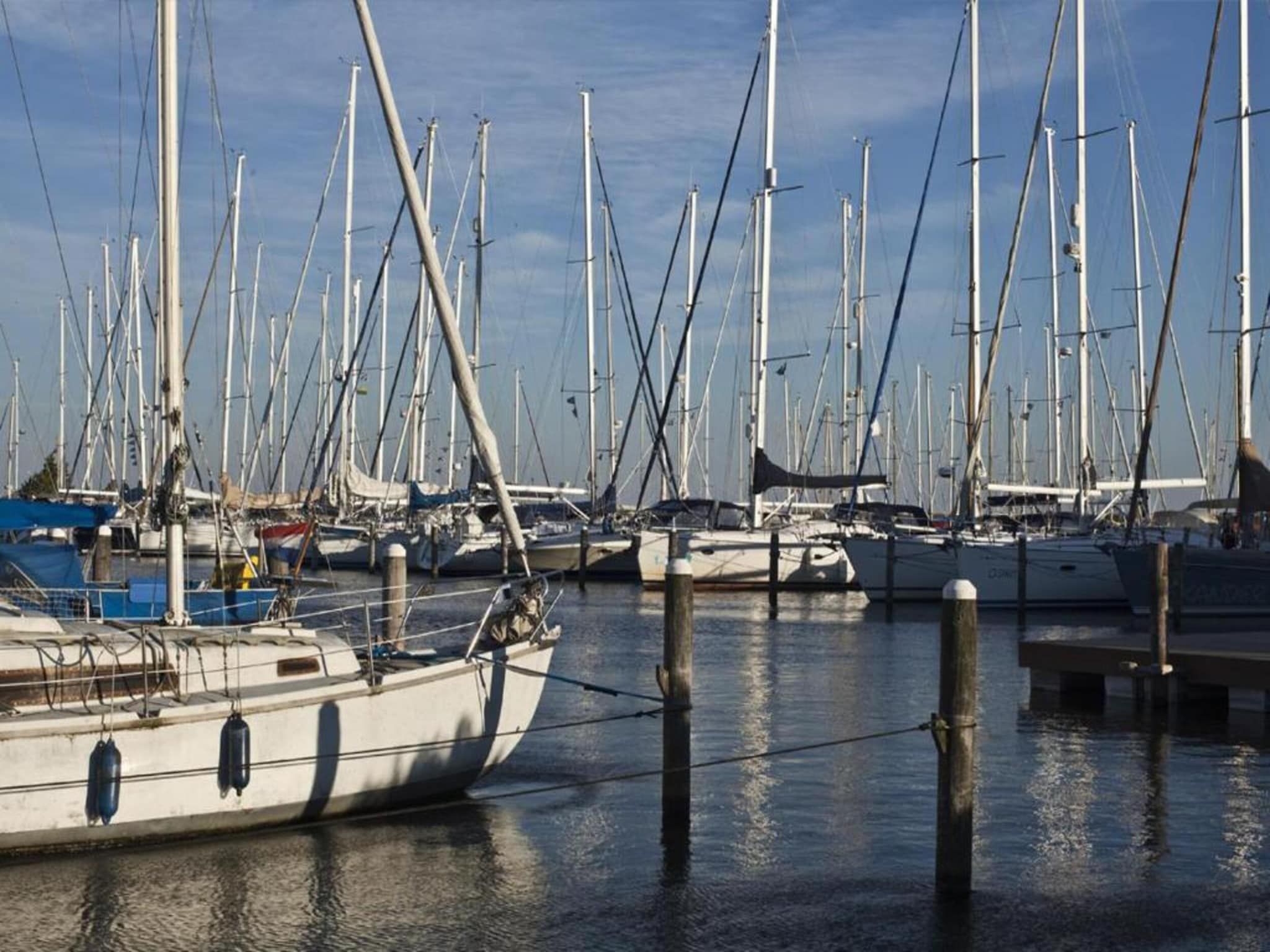 Villavakantiepark IJsselhof 5 in Andijk - Foto 34 van 34