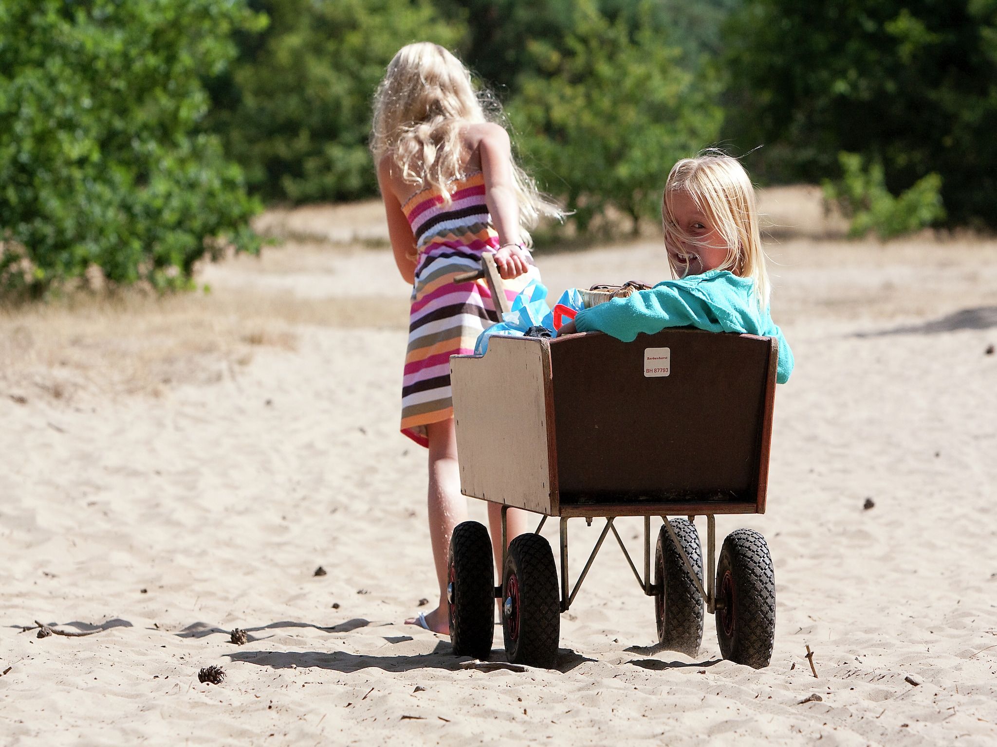 De omgeving van Vakantiepark de Berkenhorst 8 in Kootwijk
