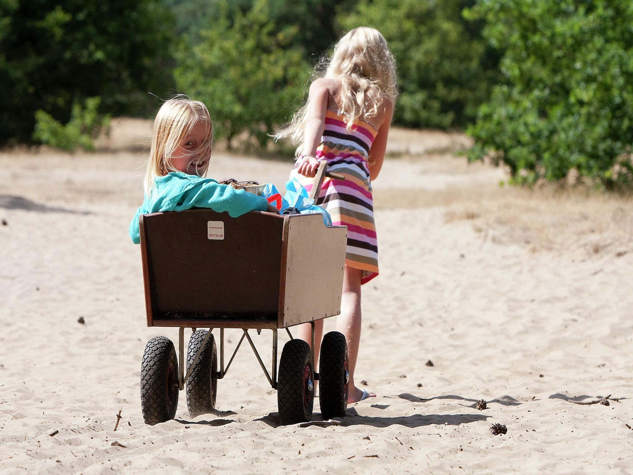 De omgeving van Vakantiepark de Berkenhorst 8 in Kootwijk