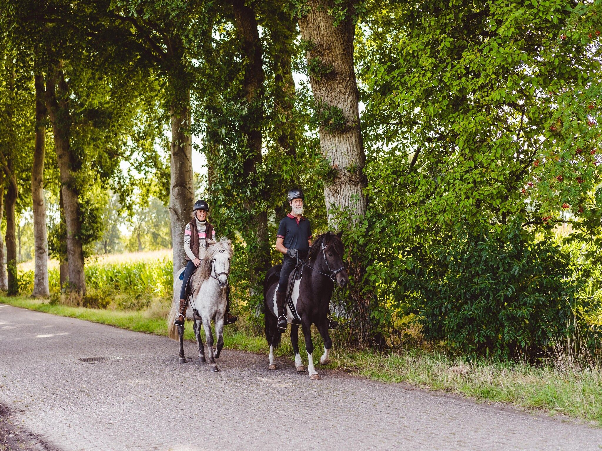 Sfeerbeeld van Hunzepark 7 in Gasselternijveen