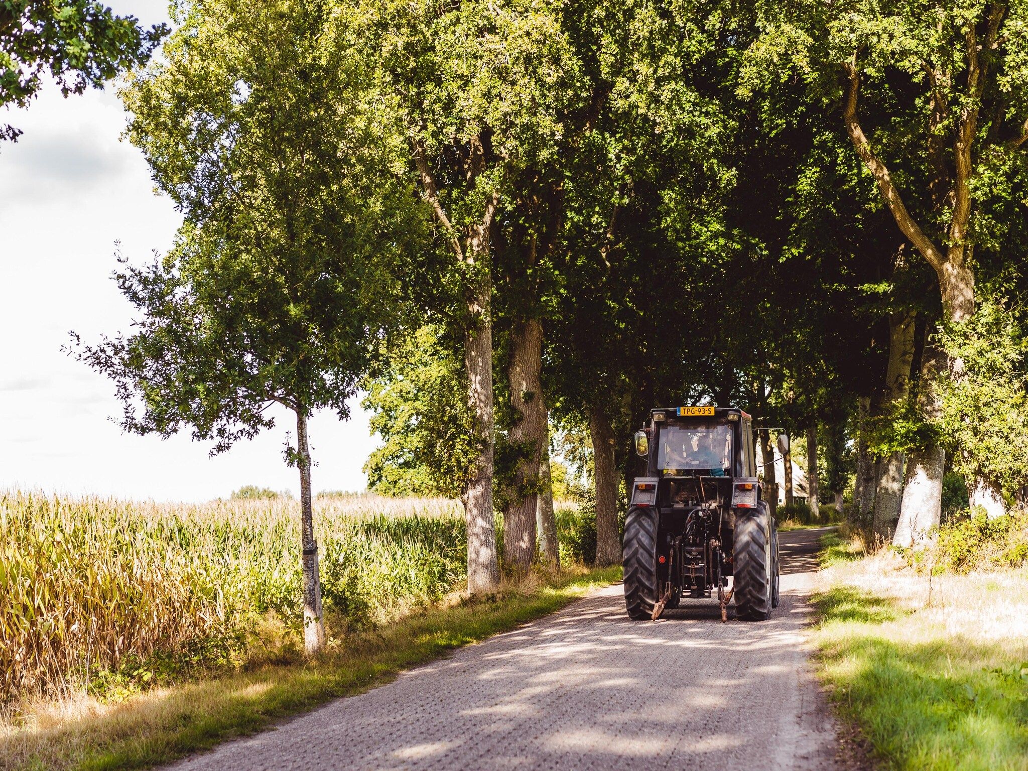 De omgeving van Hunzepark 7 in Gasselternijveen
