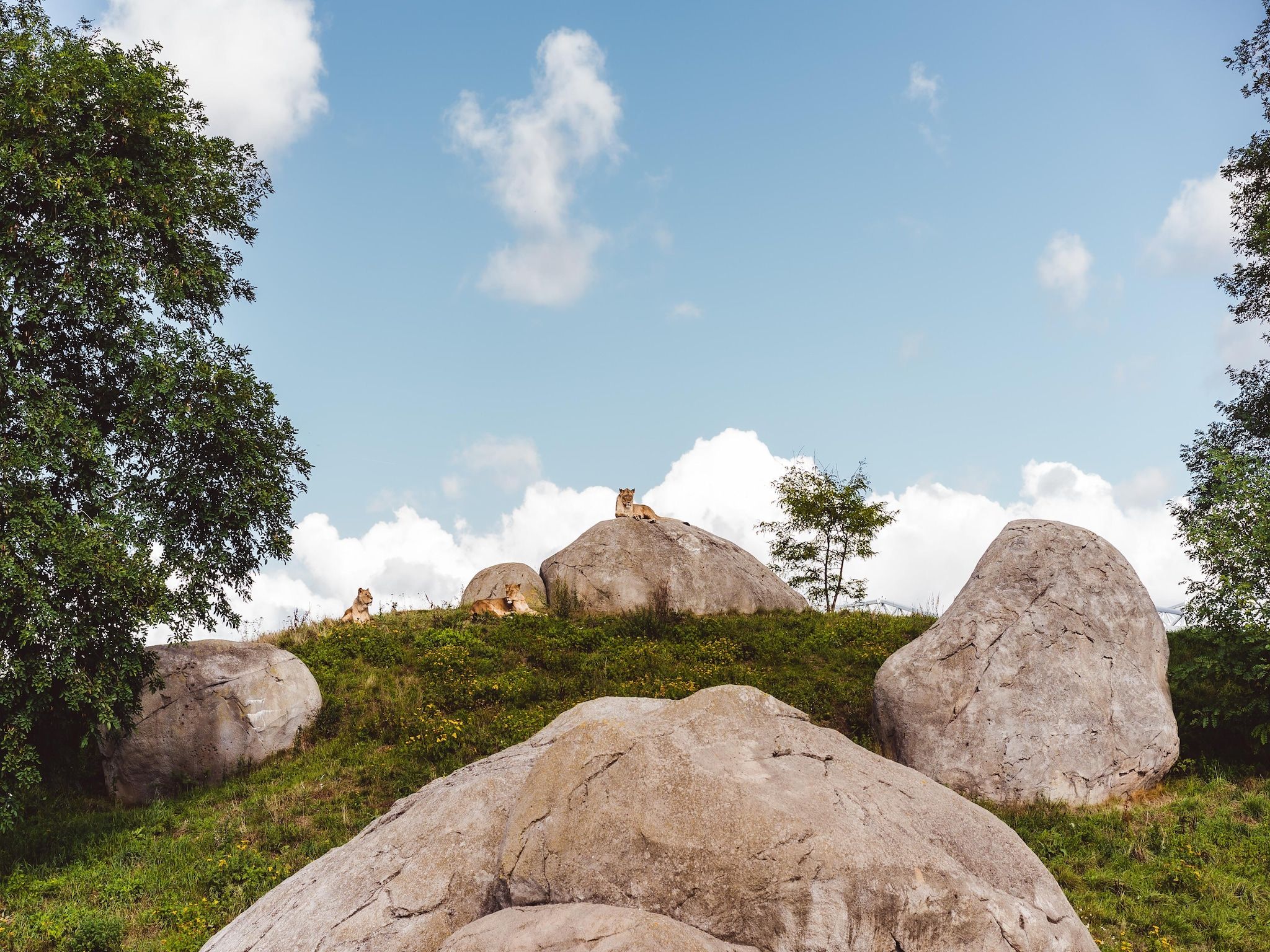 De omgeving van Hunzepark 7 in Gasselternijveen