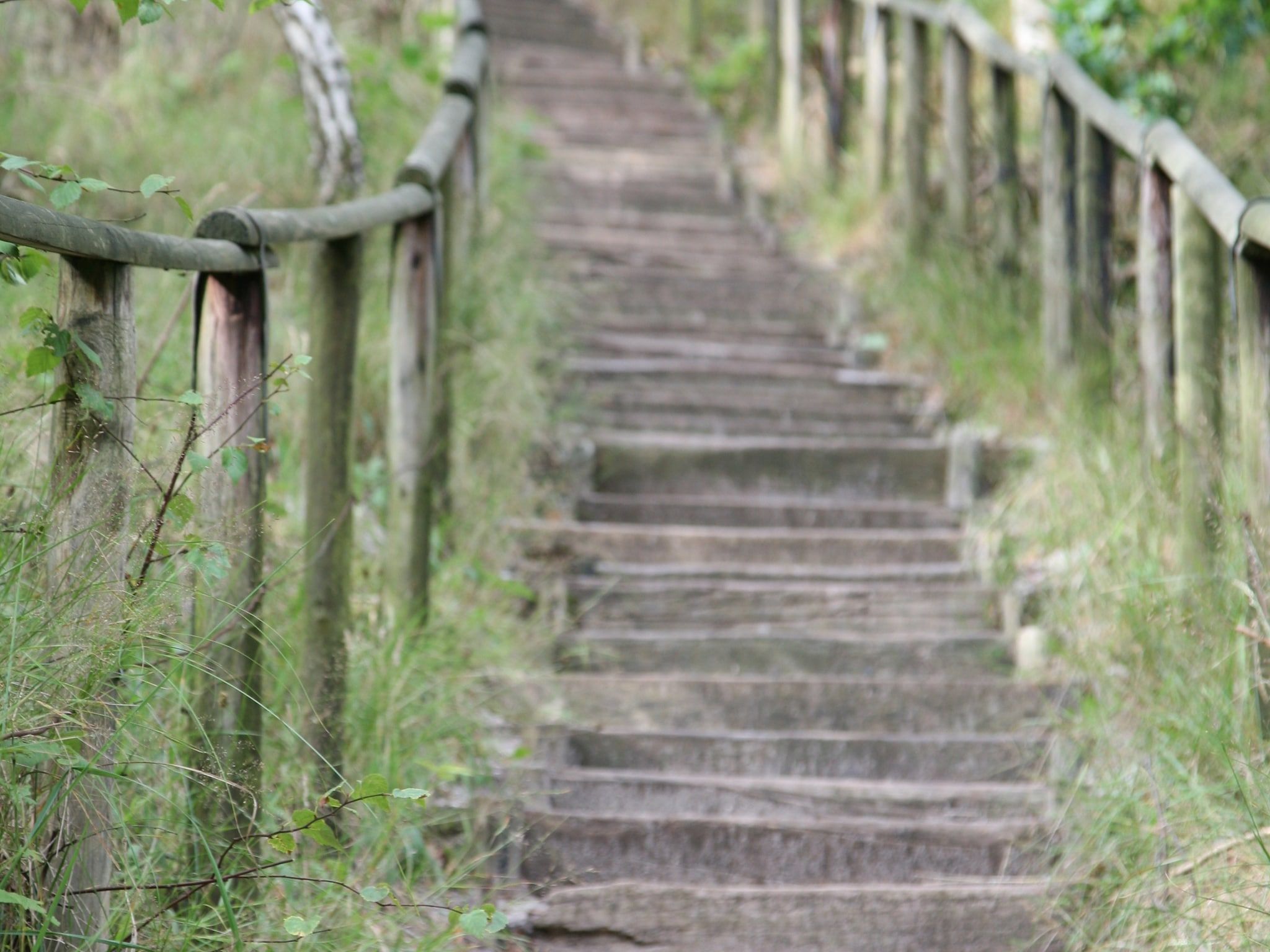 De omgeving van Park Scorleduyn 3 in Schoorl