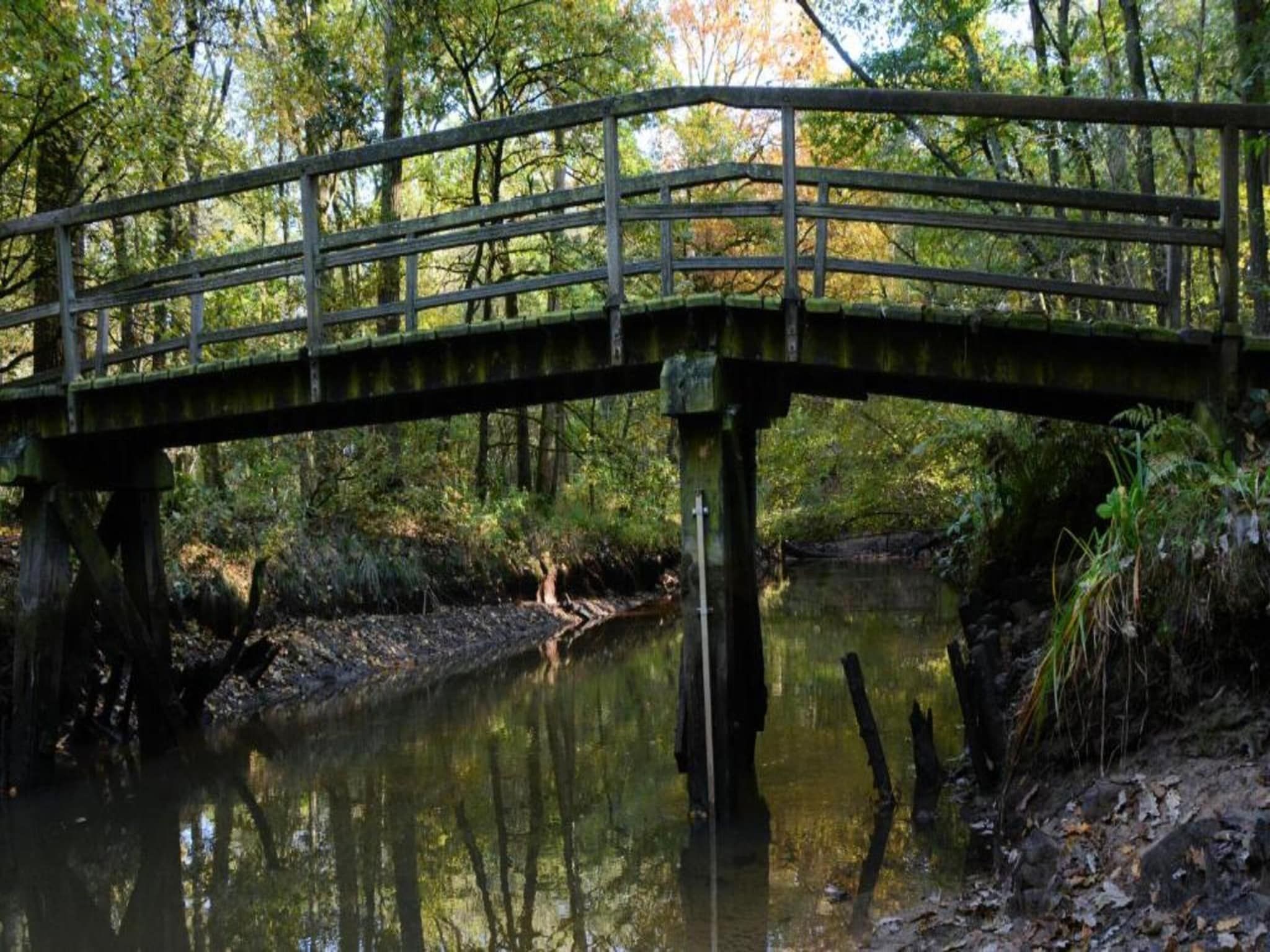 Buitenhof De Leistert 18 in Roggel - Foto 31 van 40