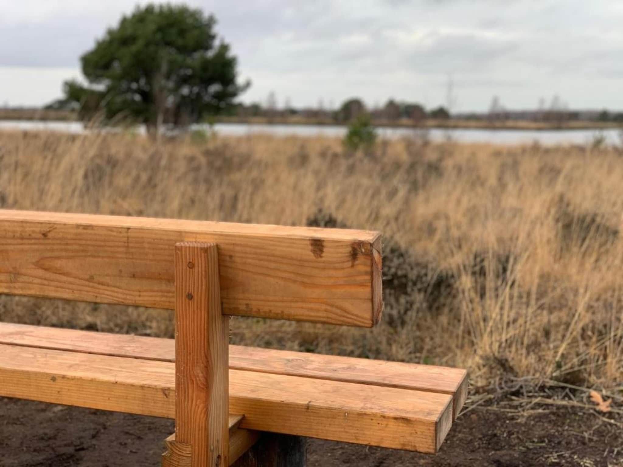 Buitenhof De Leistert 18 in Roggel - Foto 28 van 40