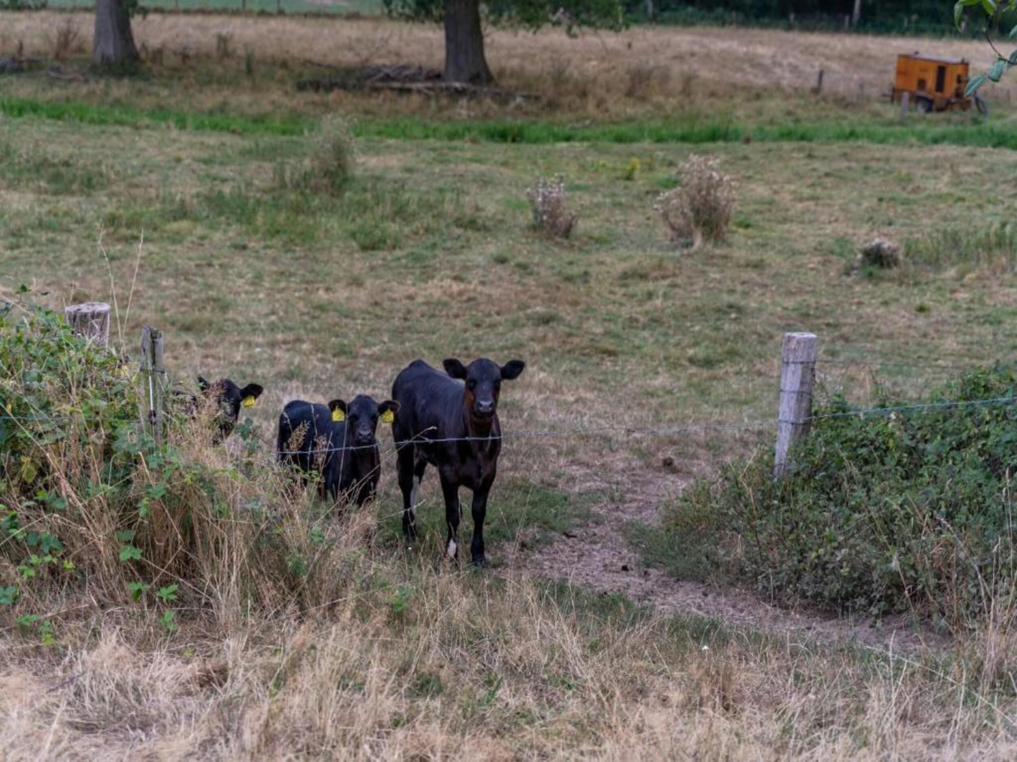 Buitenhof De Leistert 18 in Roggel - Foto 39 van 40