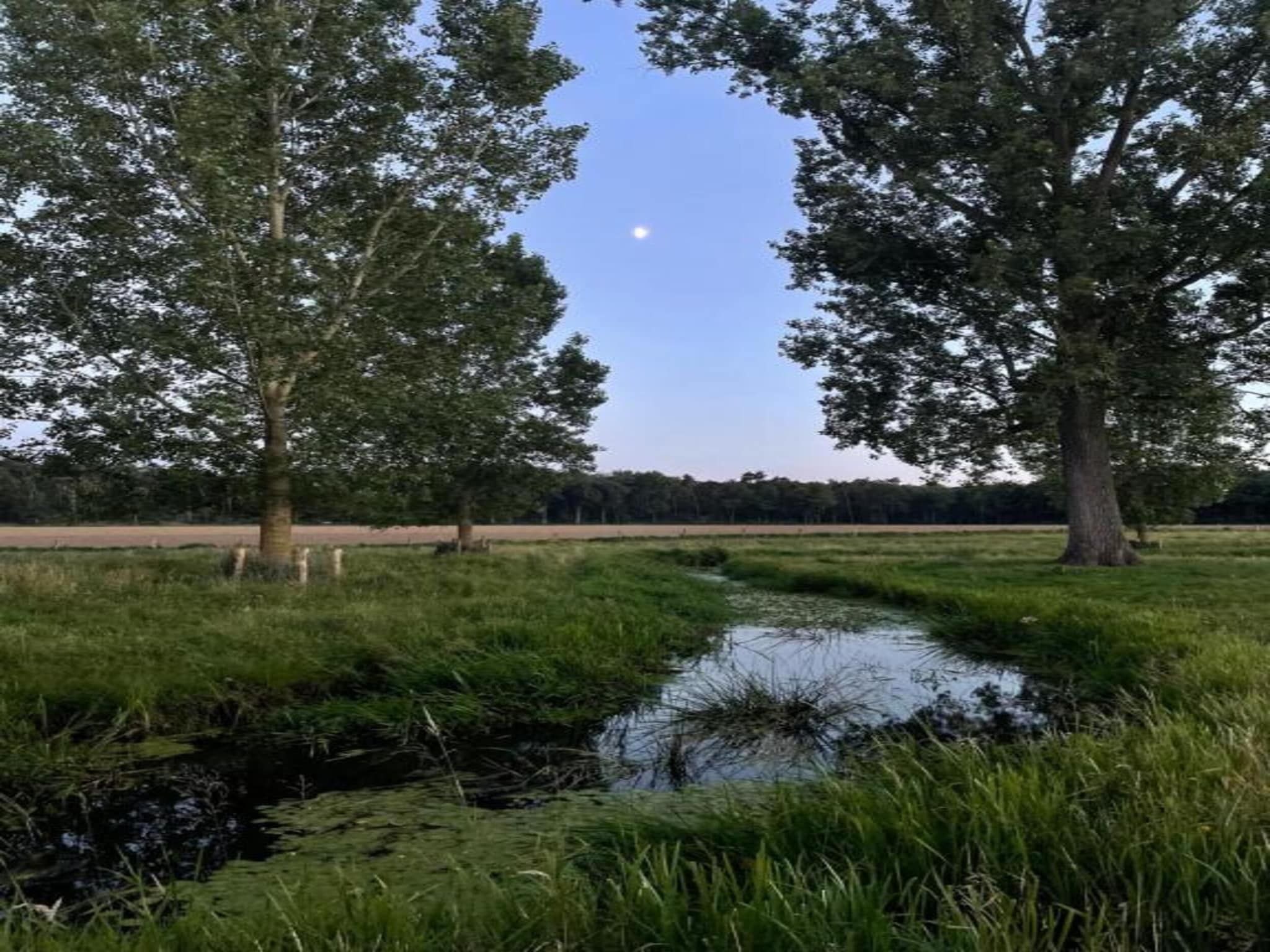 Buitenhof De Leistert 18 in Roggel - Foto 40 van 40