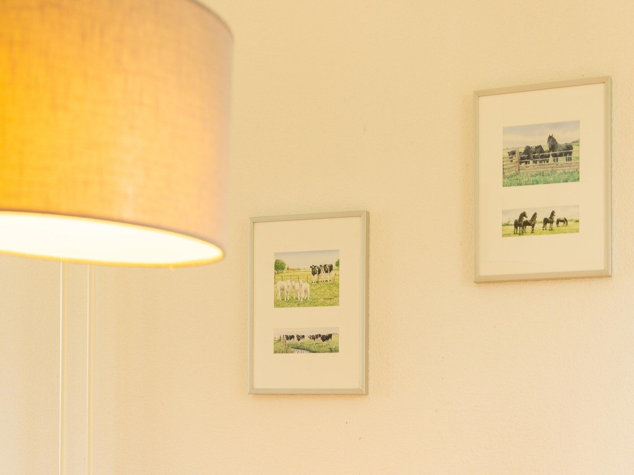 Sfeerbeeld van Buitenplaats It Wiid 1 in Eernewoud