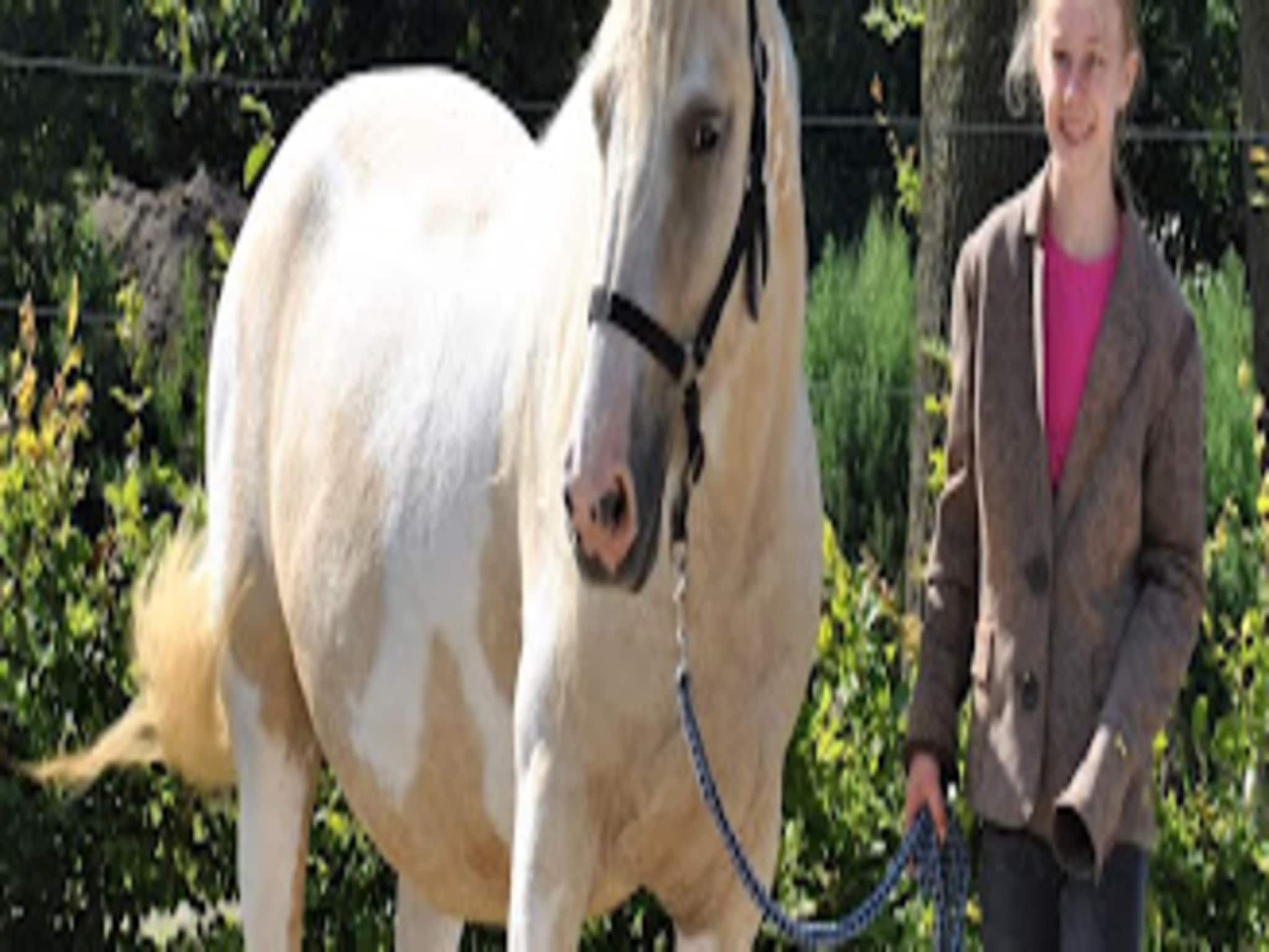 Sfeerbeeld van Marke van Ruinen 1 in Ruinen