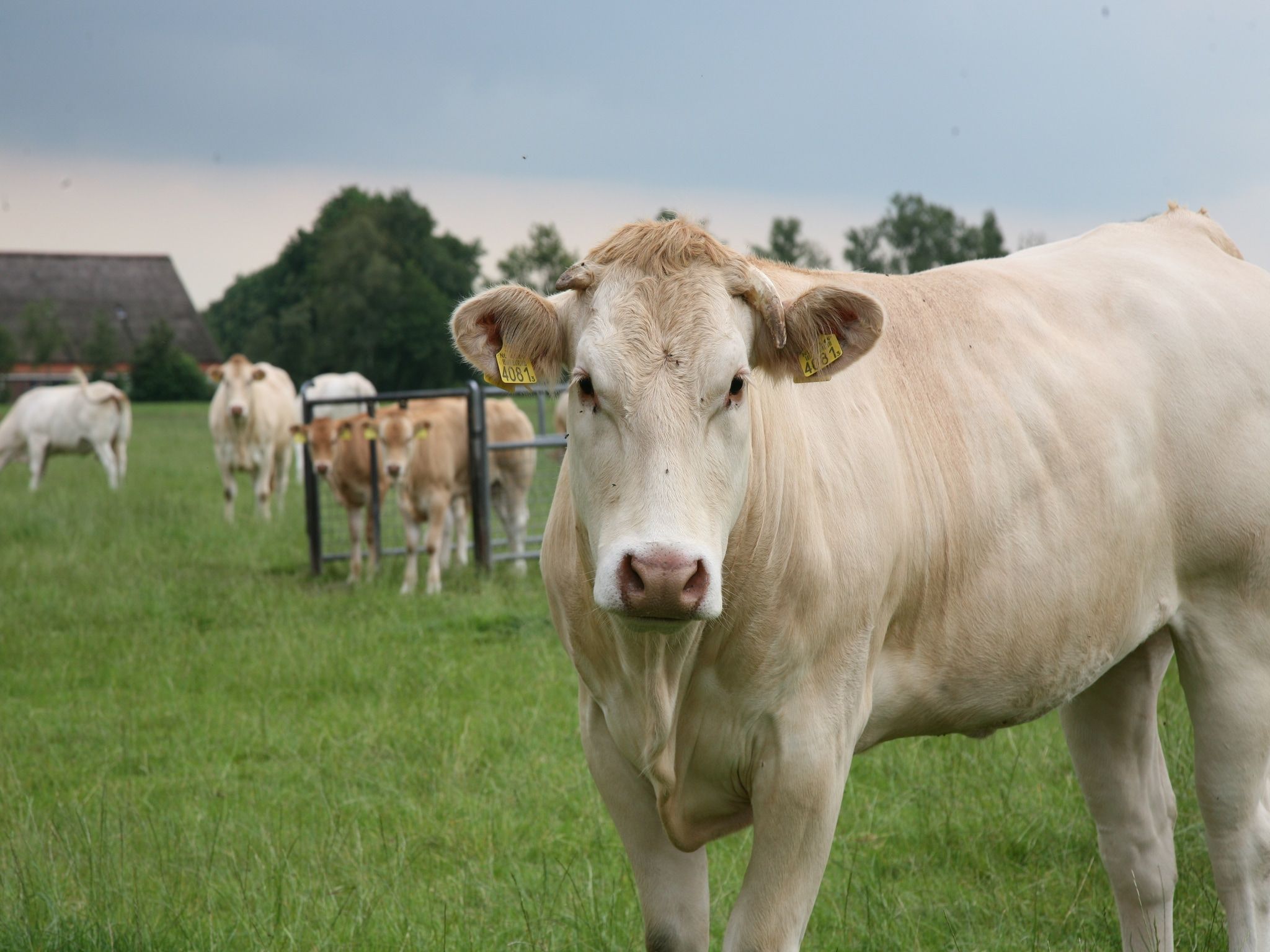 De omgeving van Marke van Ruinen 5 in Ruinen