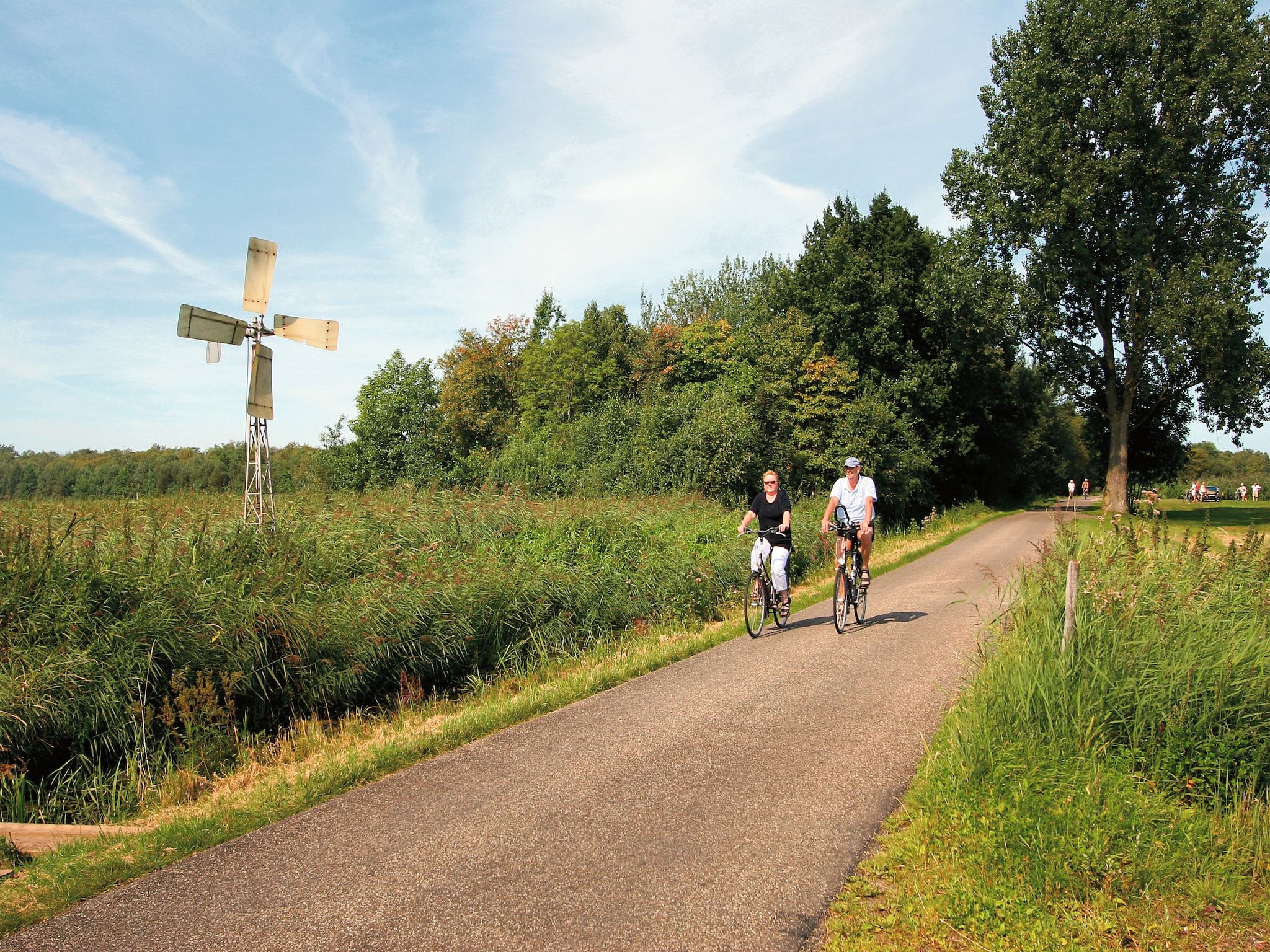 De omgeving van Recreatiepark Tolplas 1 in Hoge Hexel