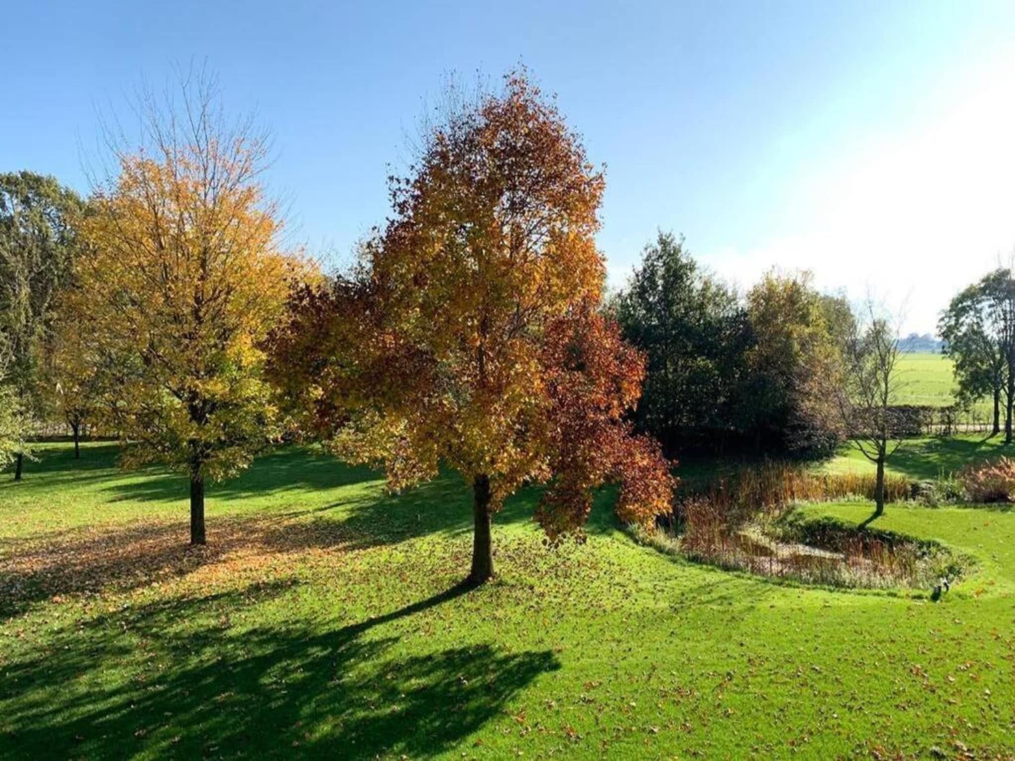 De omgeving van Recreatiepark Tolplas 1 in Hoge Hexel