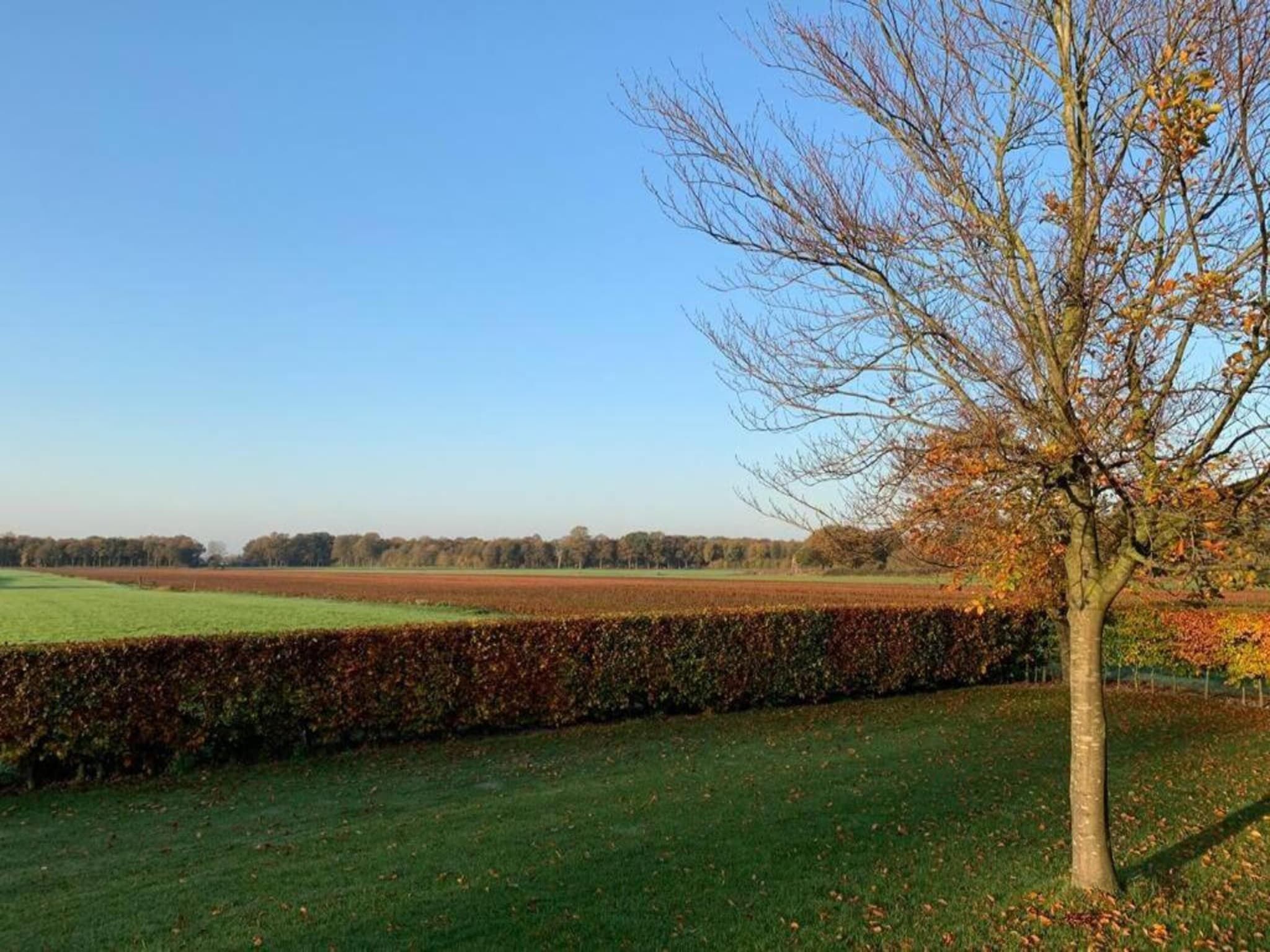 De omgeving van Recreatiepark Tolplas 11 in Hoge Hexel