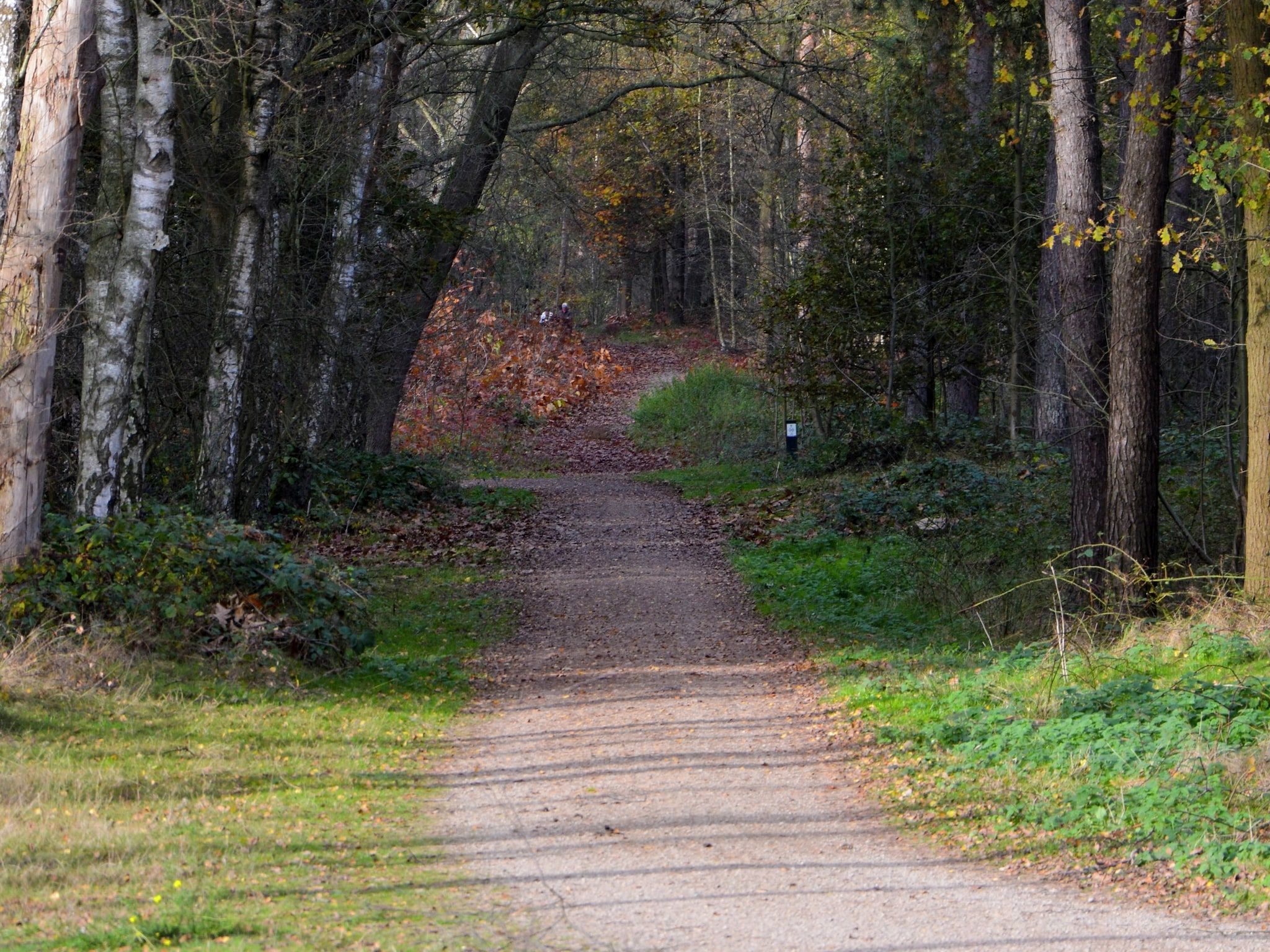 De omgeving van Waterwoning 2-6 persoons in Heel