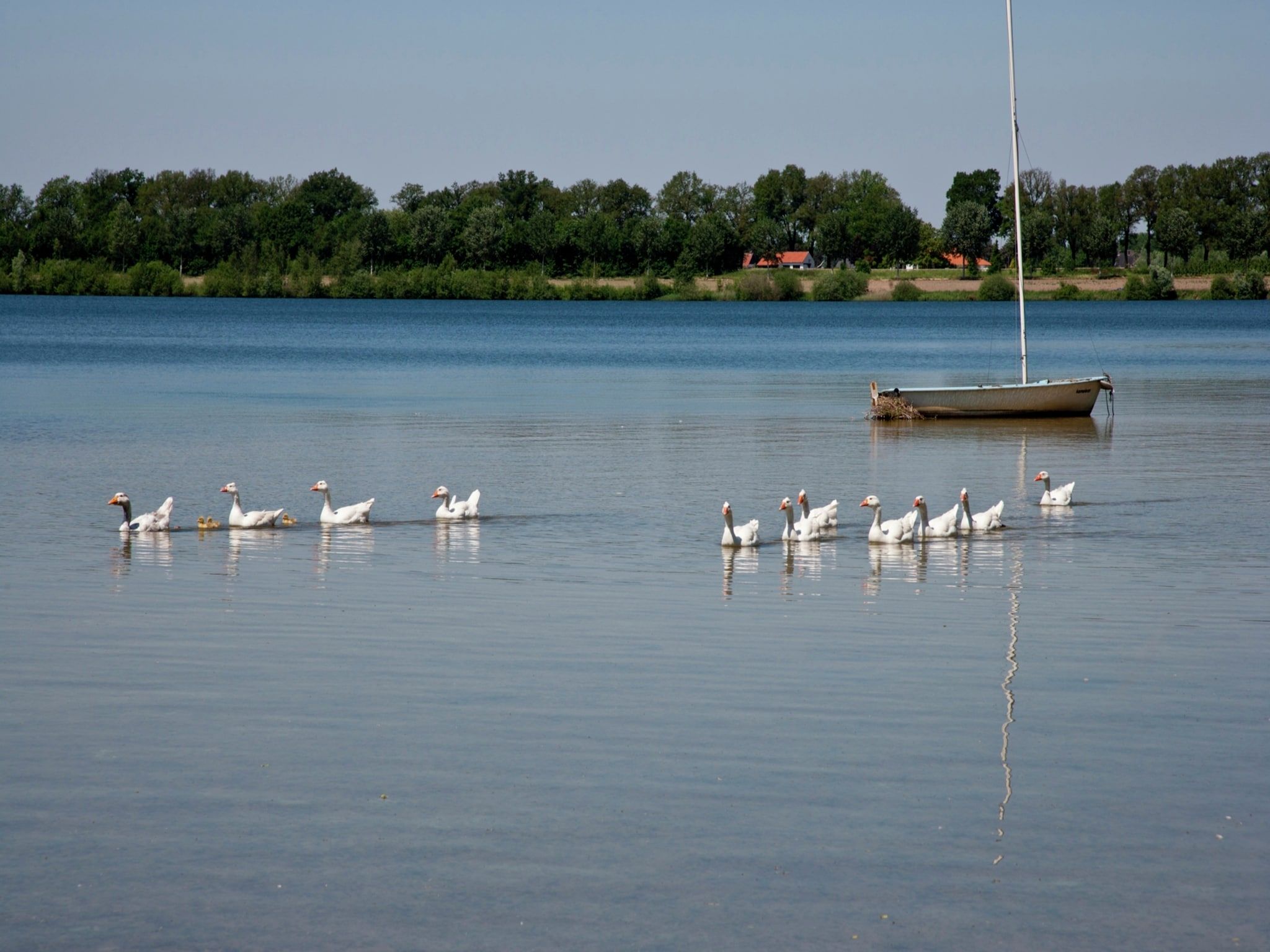 Venwoning 2-6 persoons in Heel - Foto 18 van 38