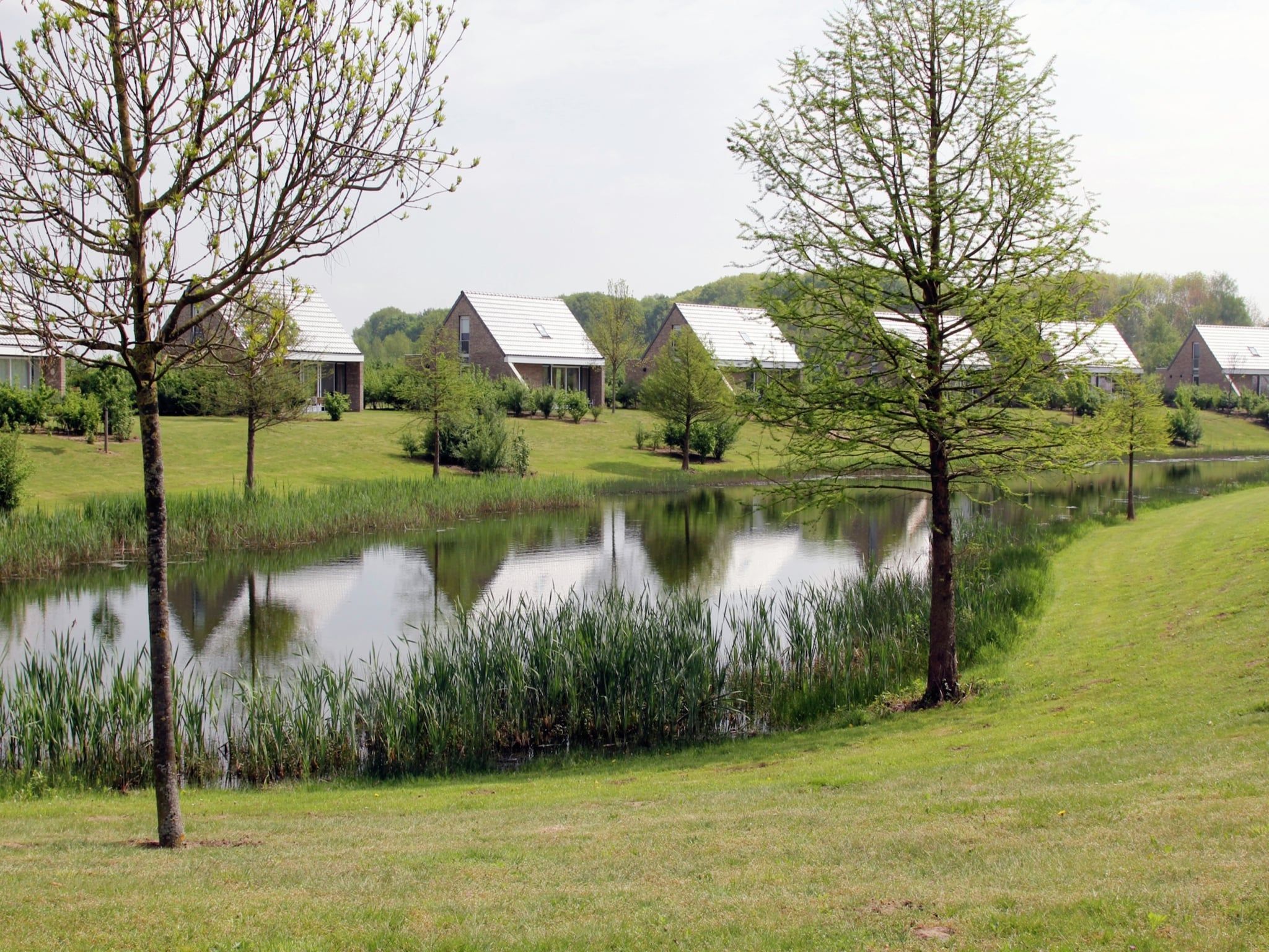 Venwoning 2-6 persoons in Heel - Foto 19 van 38