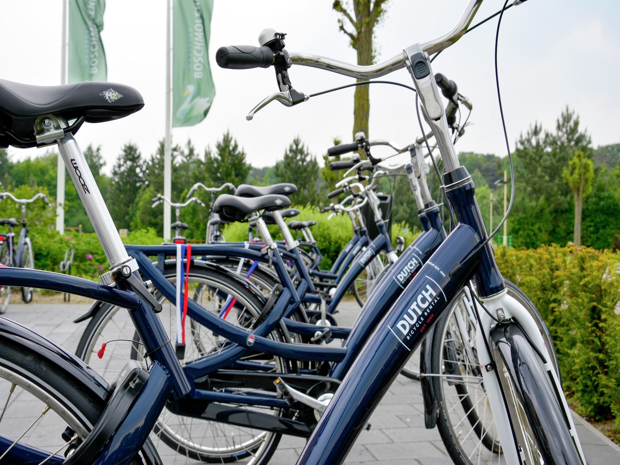 Parkfaciliteiten bij Tuinvilla 2-6 persoons in Heel