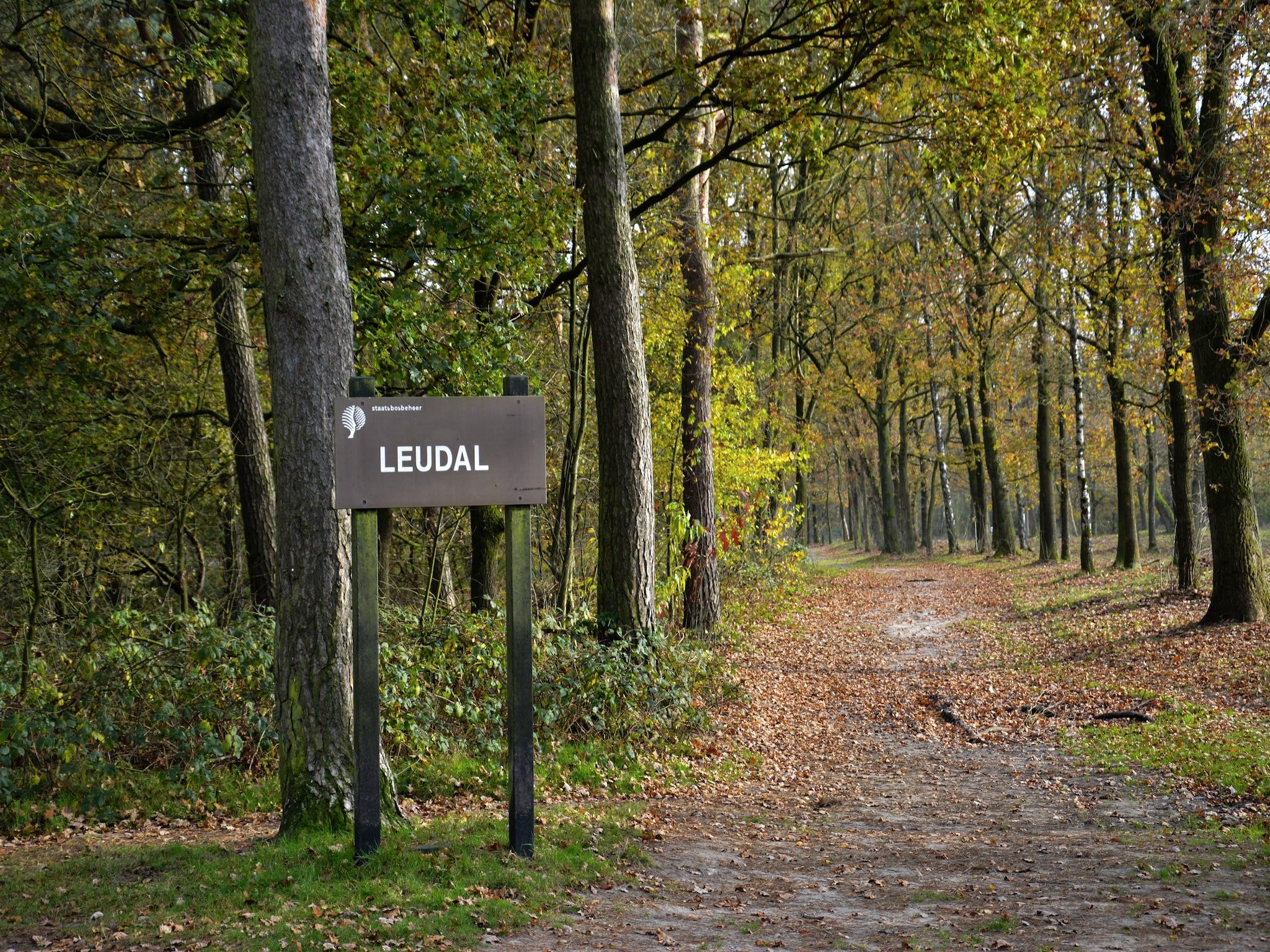 De omgeving van Tuinvilla 2-4 persoons in Heel