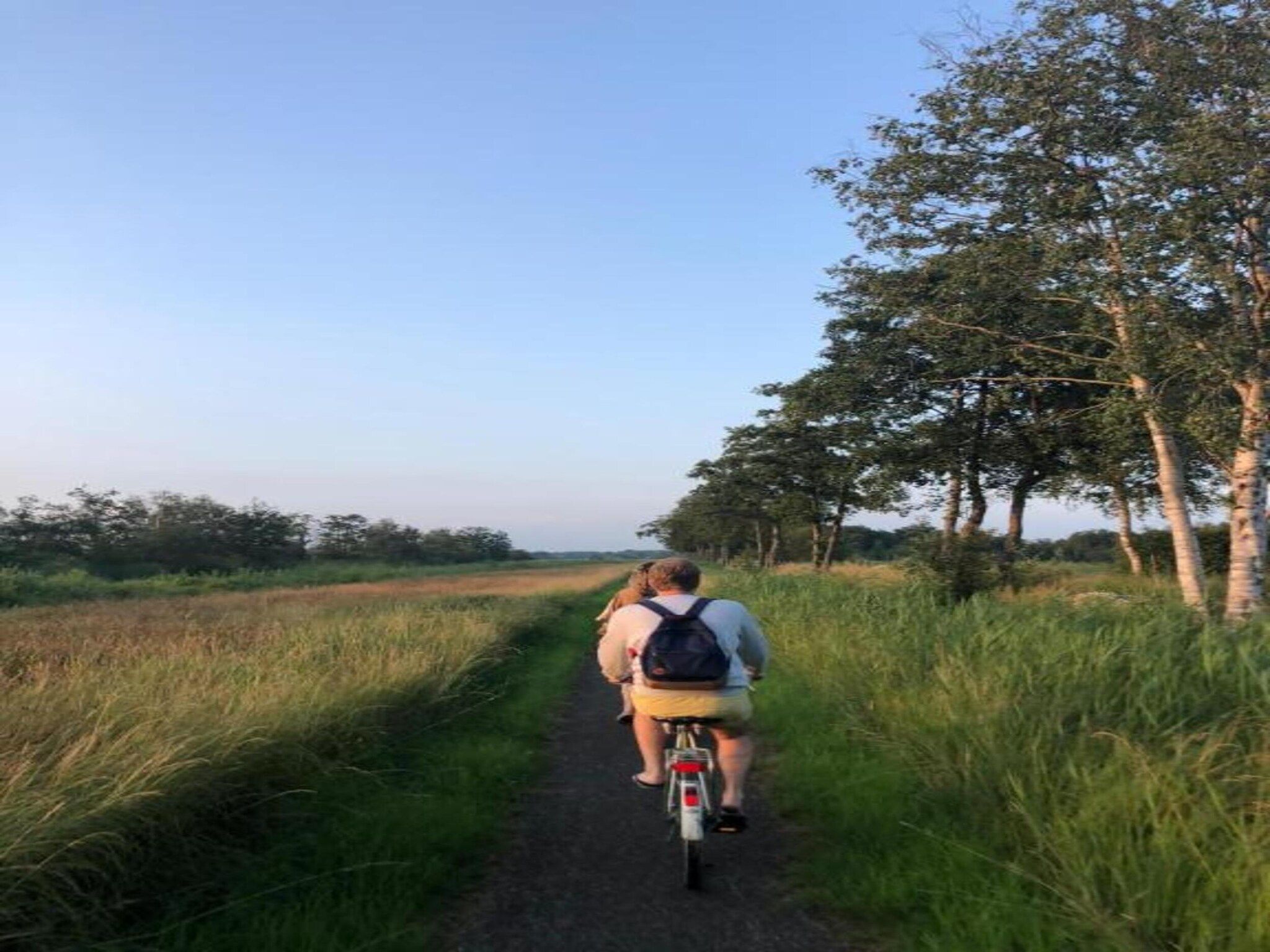 De omgeving van Villapark De Weerribben 2 in Paasloo