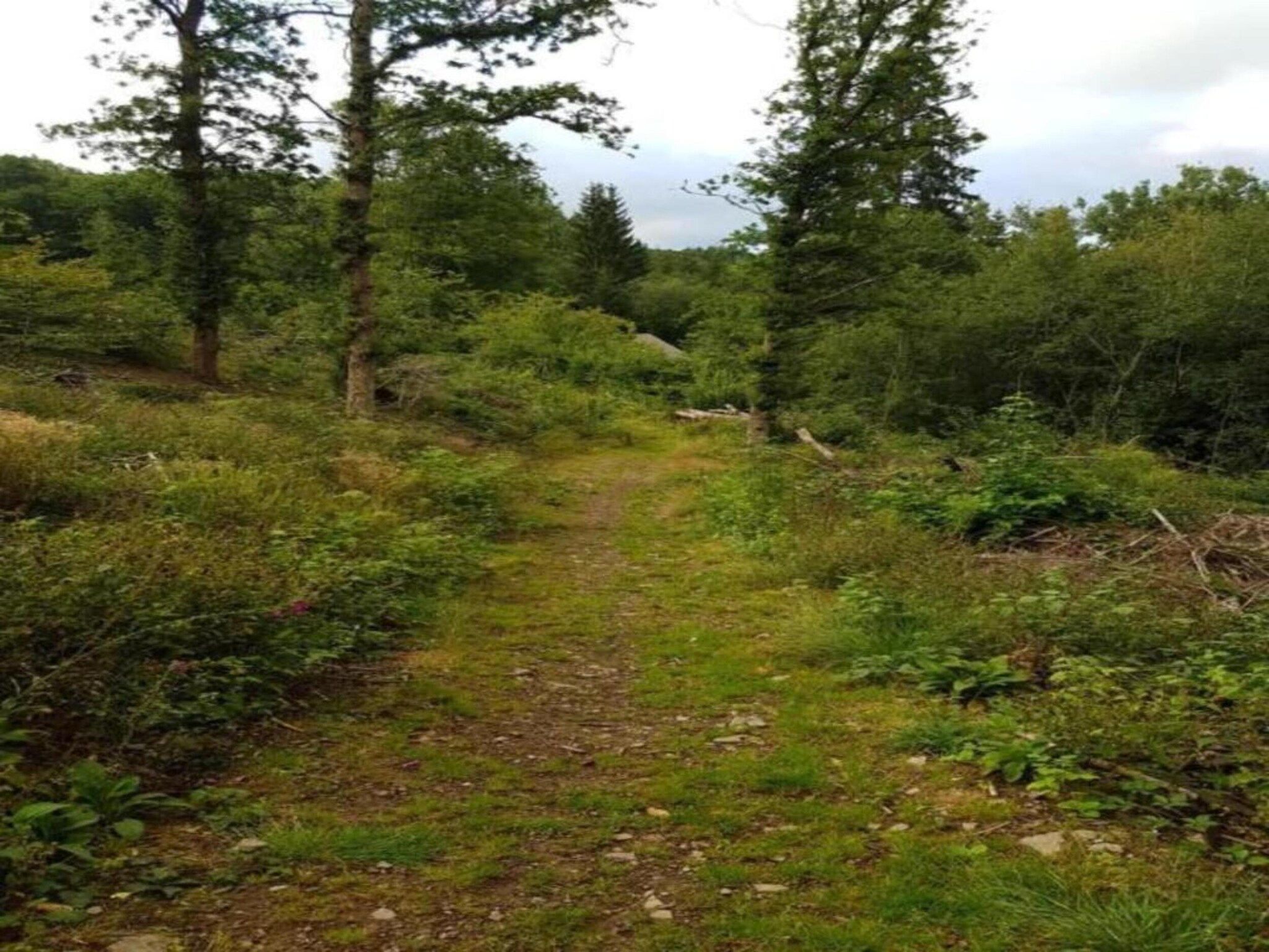 De omgeving van Villapark De Weerribben 2 in Paasloo