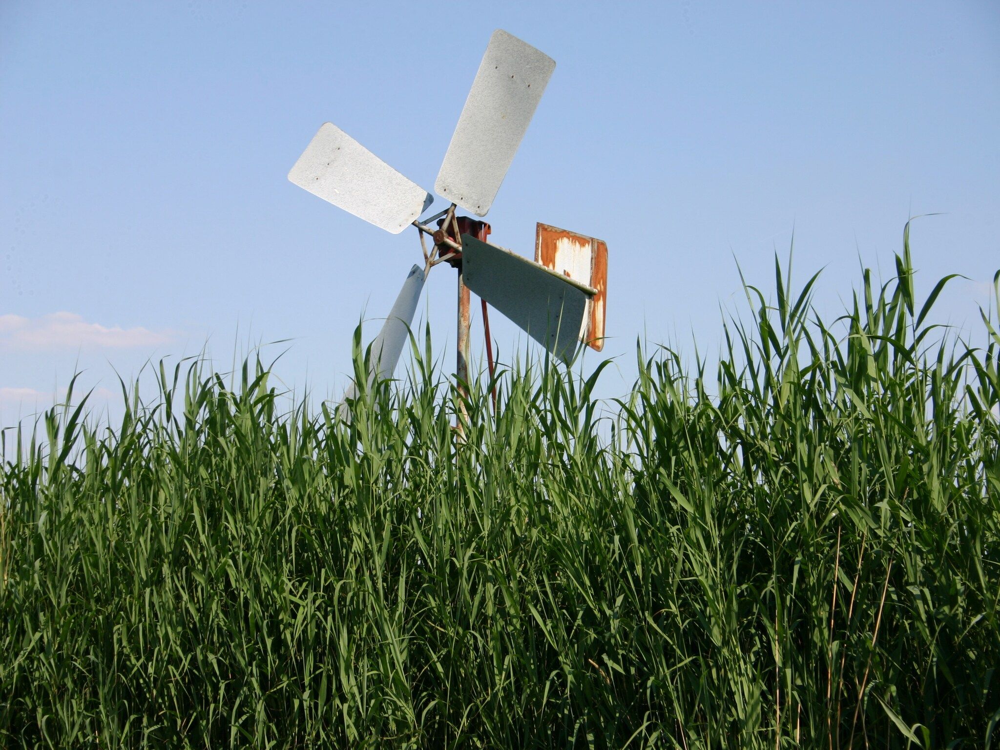 Villapark De Weerribben 4 in Paasloo - Foto 37 van 40