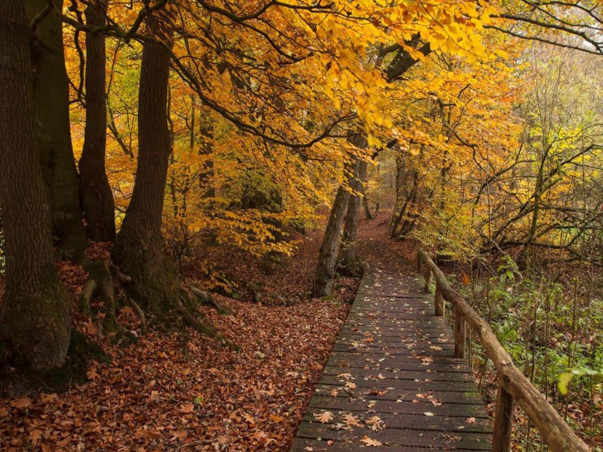 De omgeving van Chaletpark Kuiperberg 7 in Ootmarsum