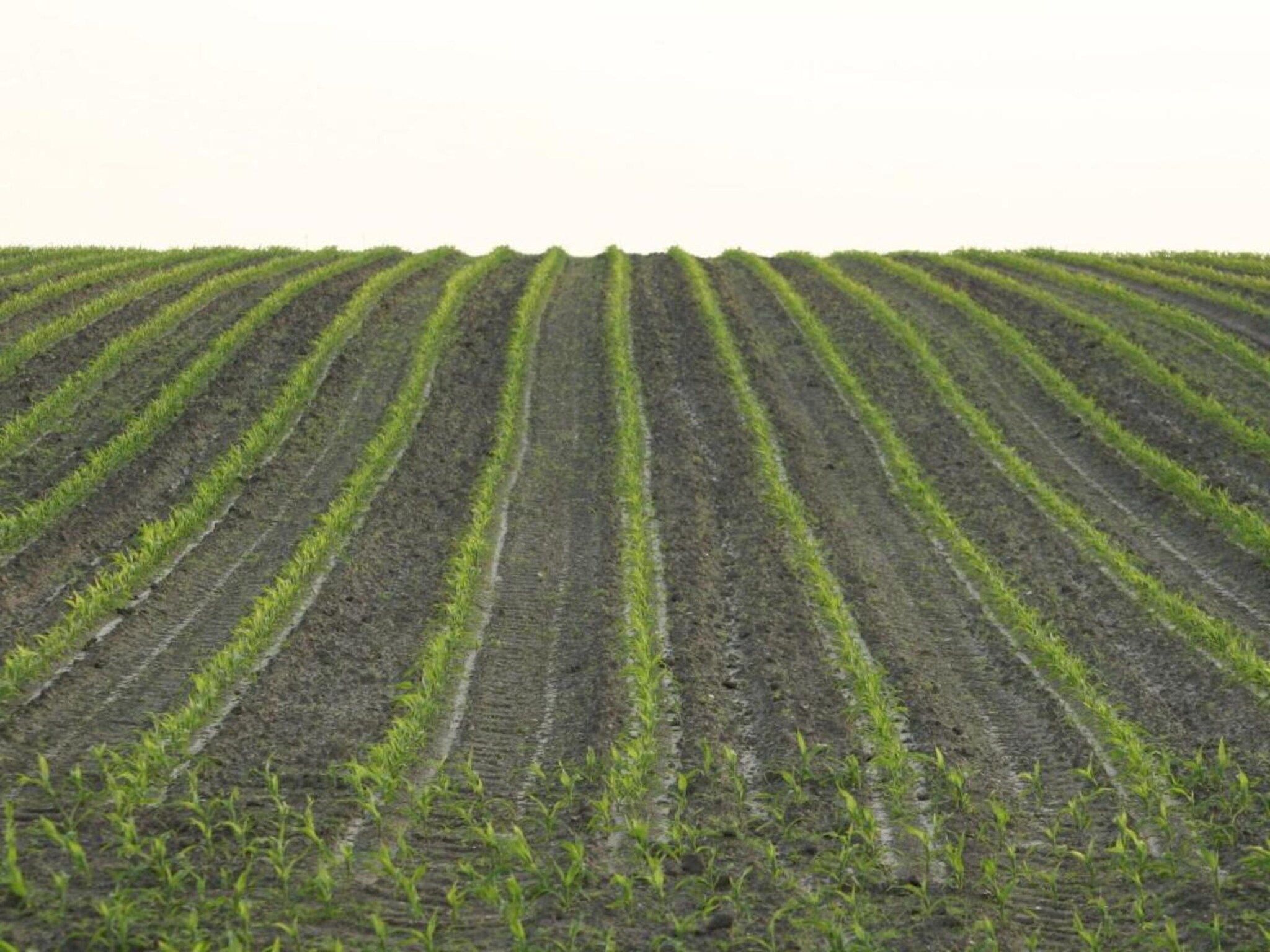 De omgeving van Chaletpark Kuiperberg 7 in Ootmarsum