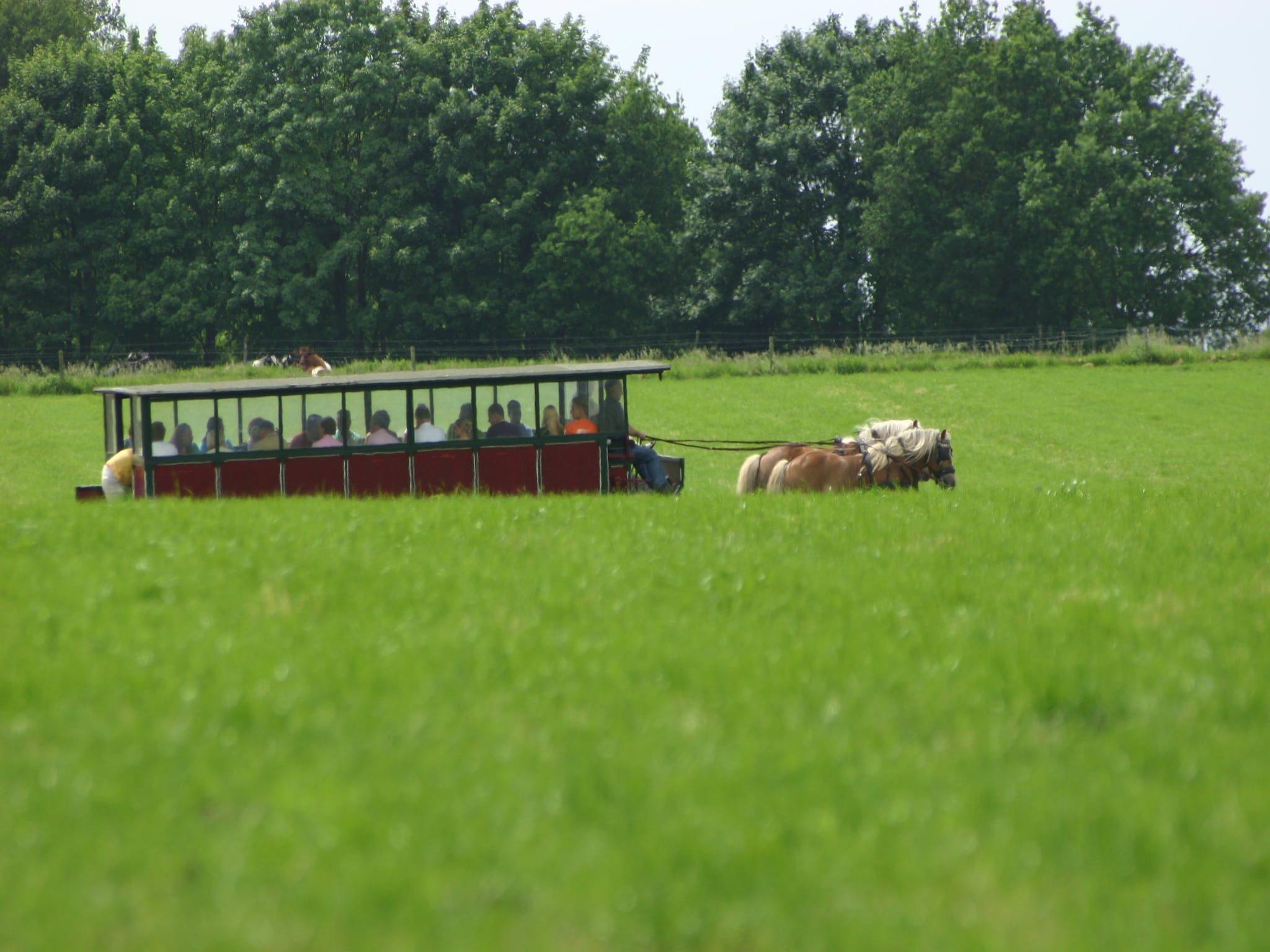 De omgeving van Chaletpark Kuiperberg 1 in Ootmarsum