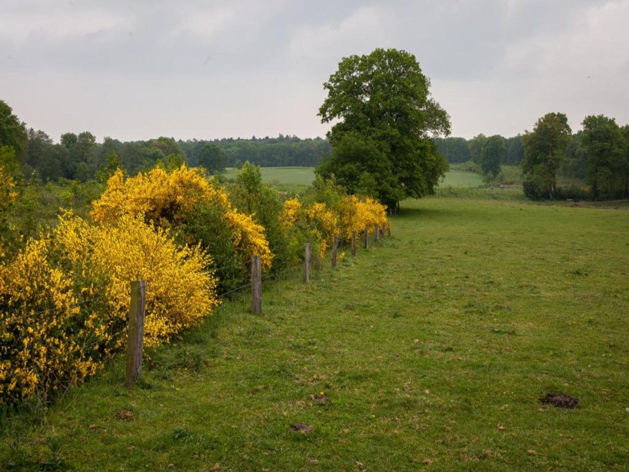 De omgeving van Chaletpark Kuiperberg 1 in Ootmarsum