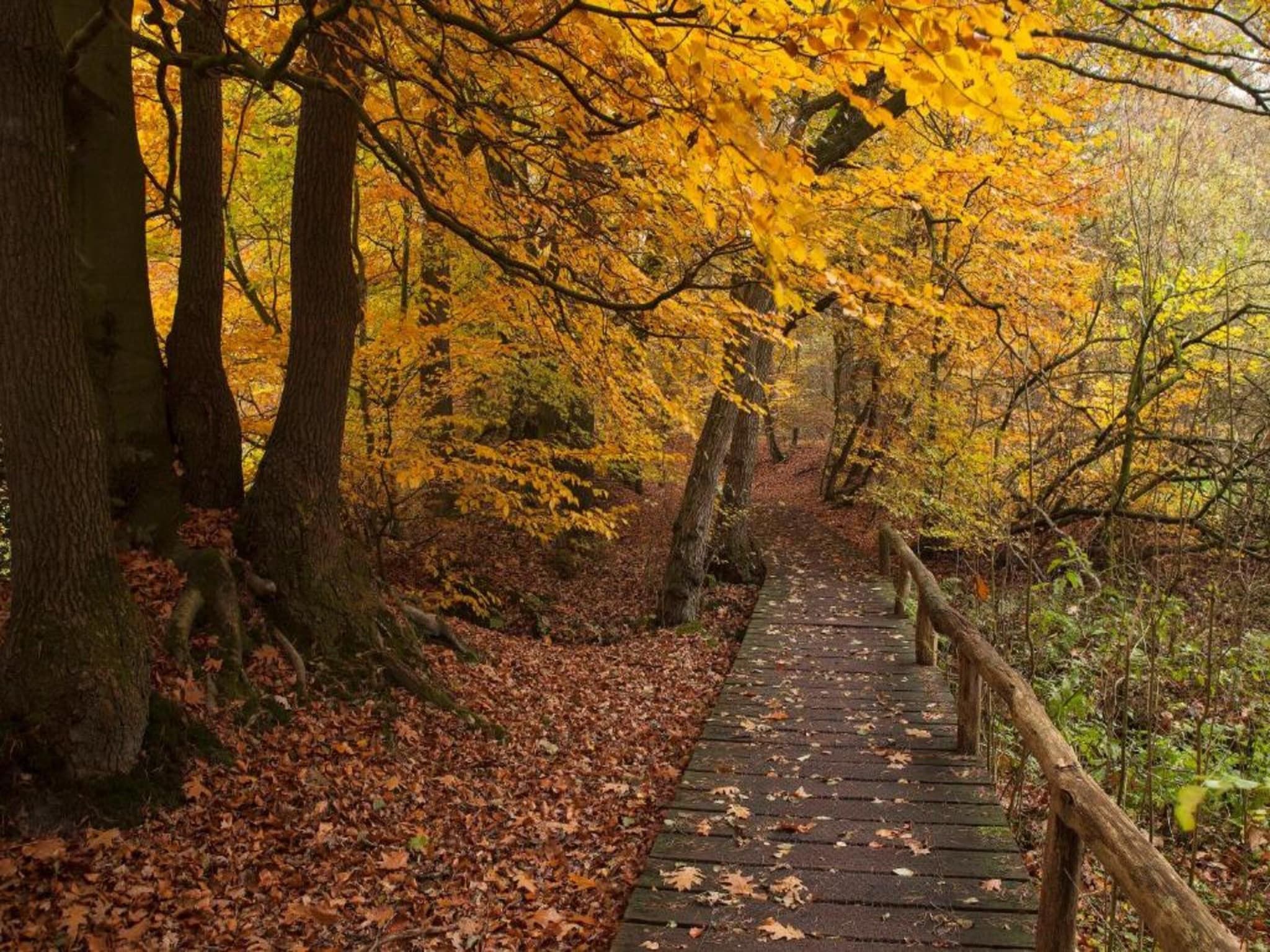 De omgeving van Chaletpark Kuiperberg 1 in Ootmarsum