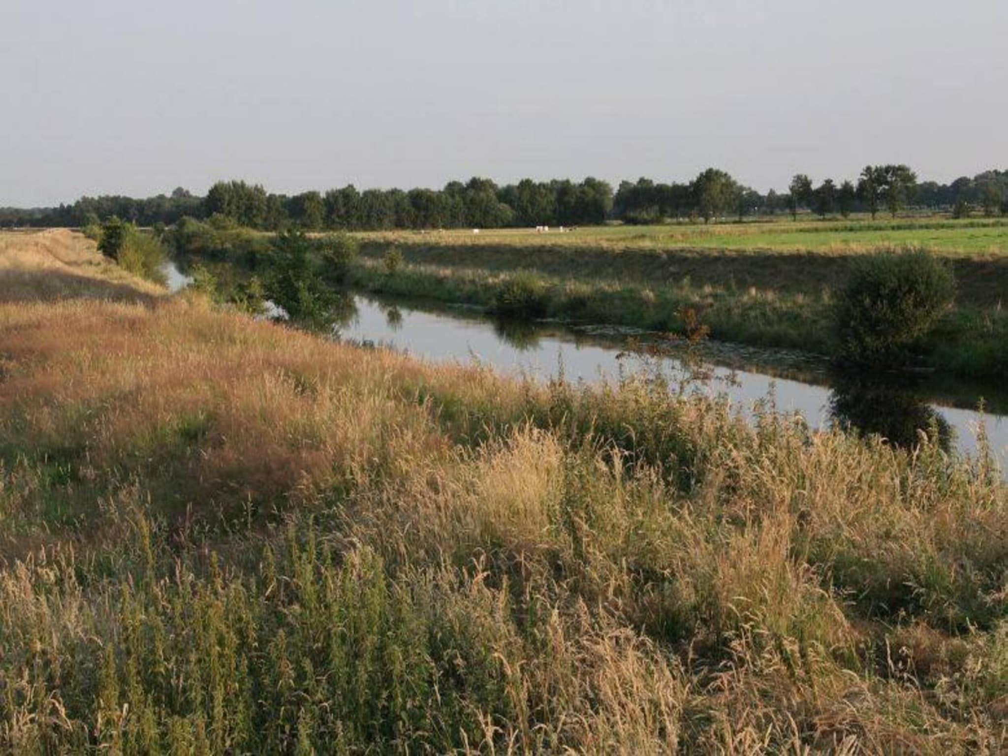 Chaletpark Kuiperberg 1 in Ootmarsum - Foto 35 van 37