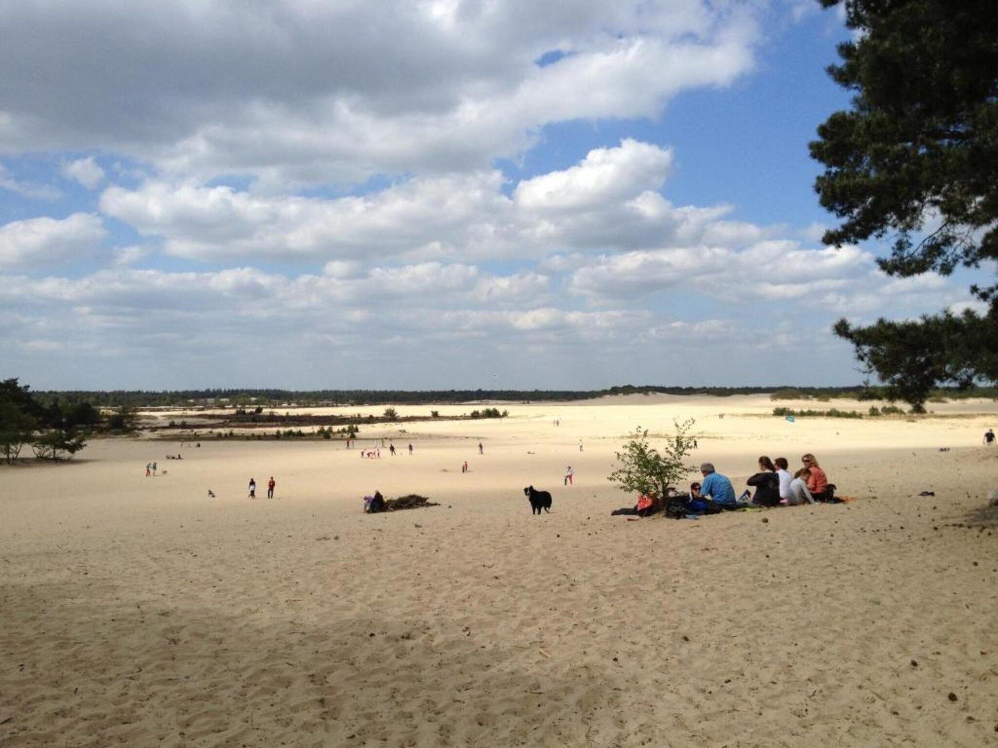 Recreatiepark Duinhoeve 1 in Udenhout - Foto 39 van 40