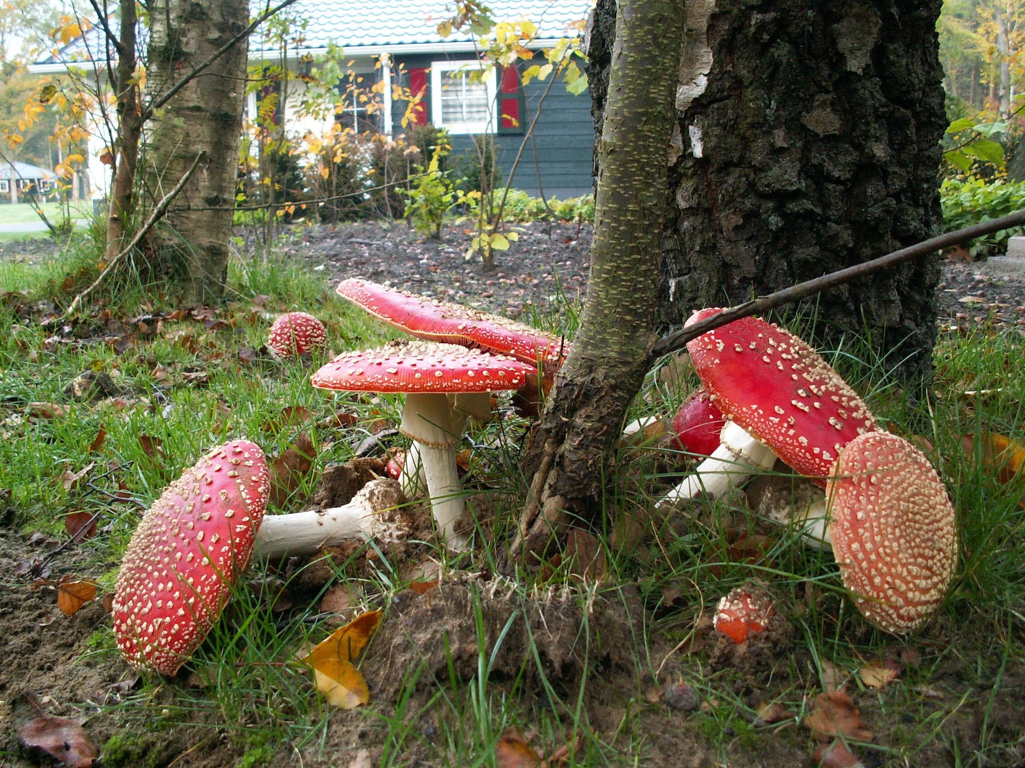 Buitenplaats Gerner 2 in Dalfsen - Foto 23 van 38