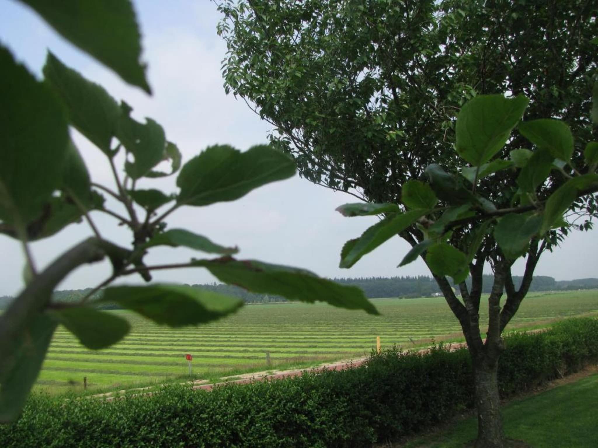 Buitenplaats Gerner 2 in Dalfsen - Foto 34 van 38