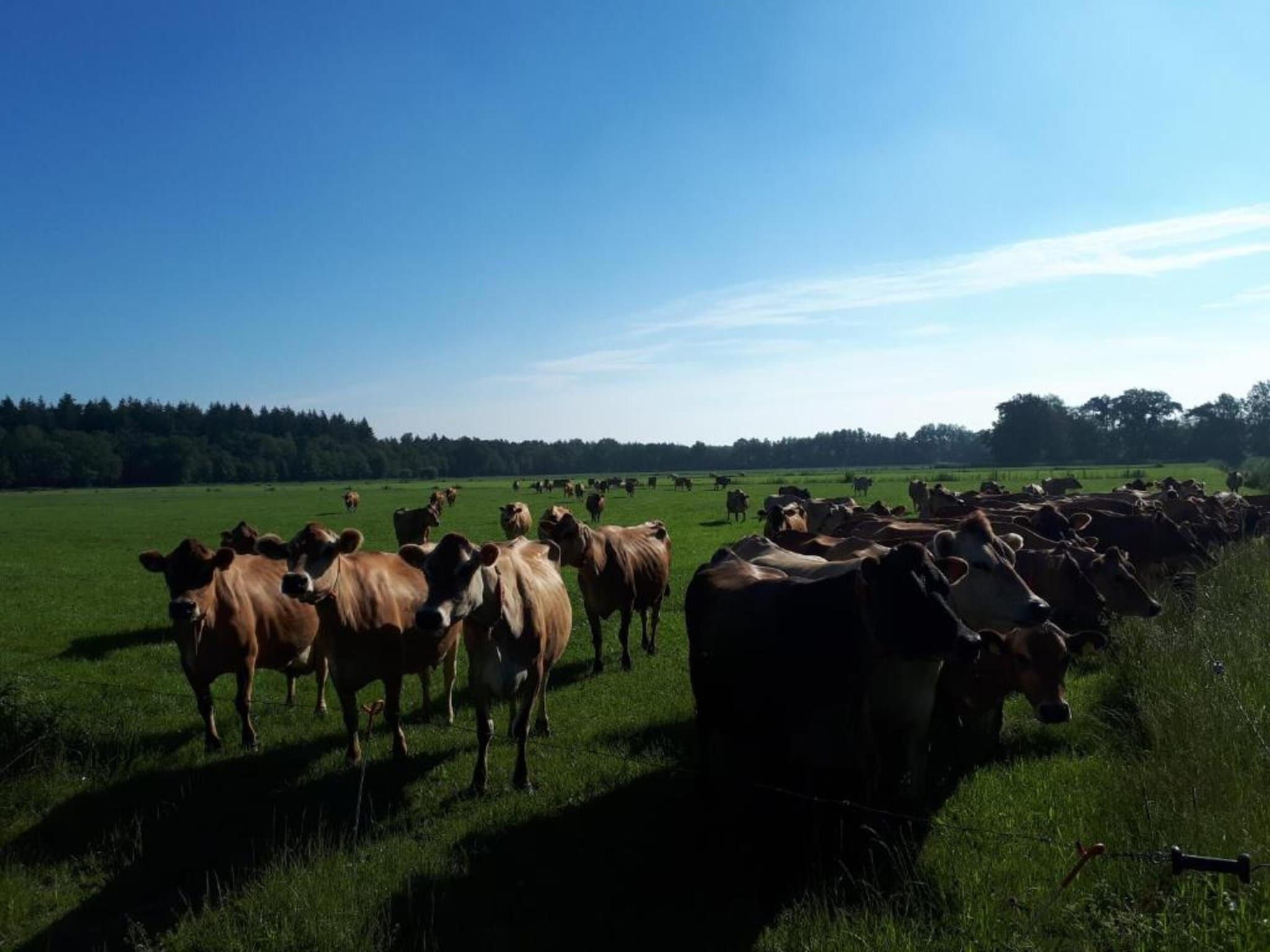 Buitenplaats Gerner 2 in Dalfsen - Foto 29 van 38