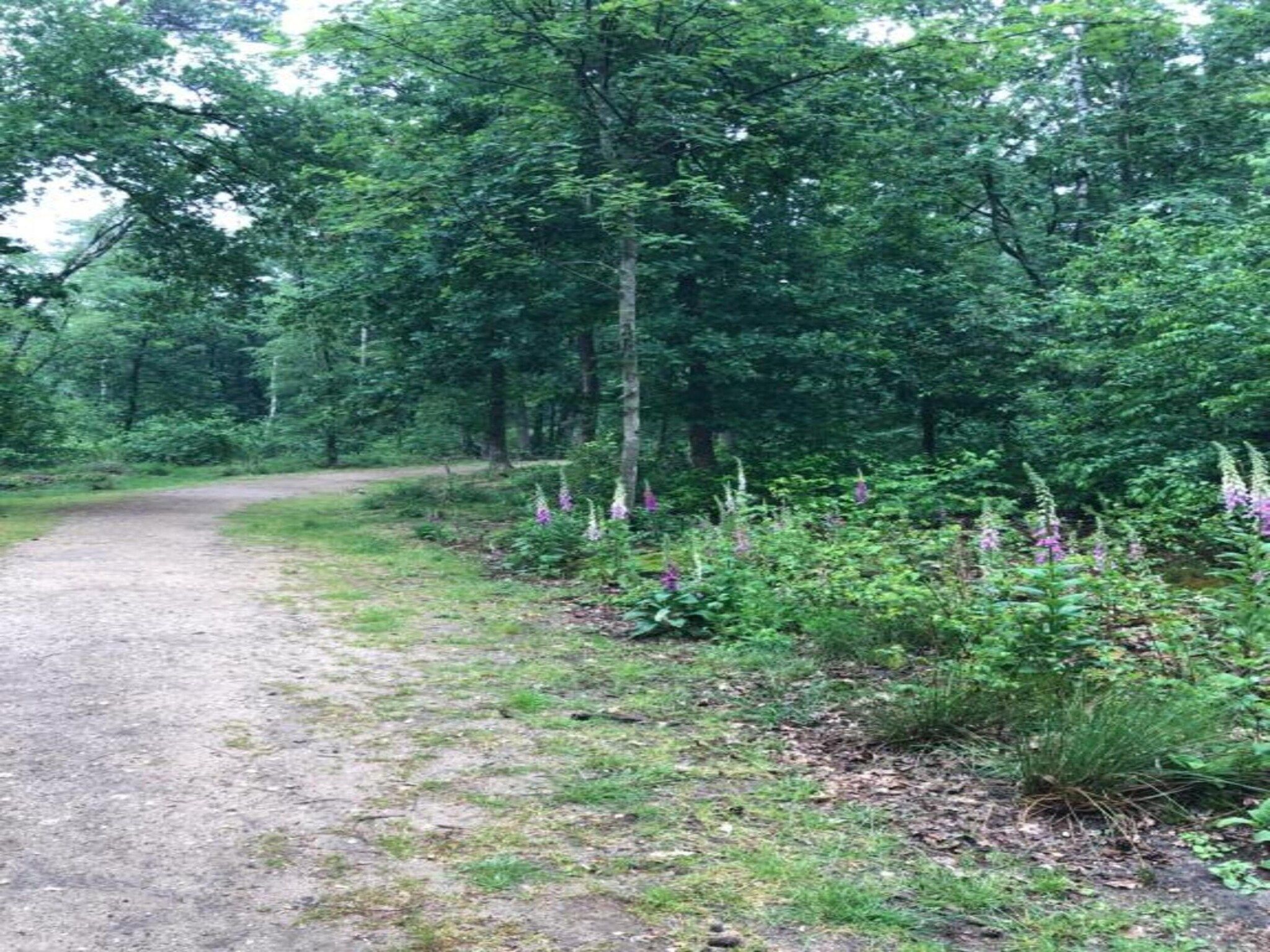 Bungalowpark Hoenderloo 3 in Hoenderloo - Foto 36 van 40