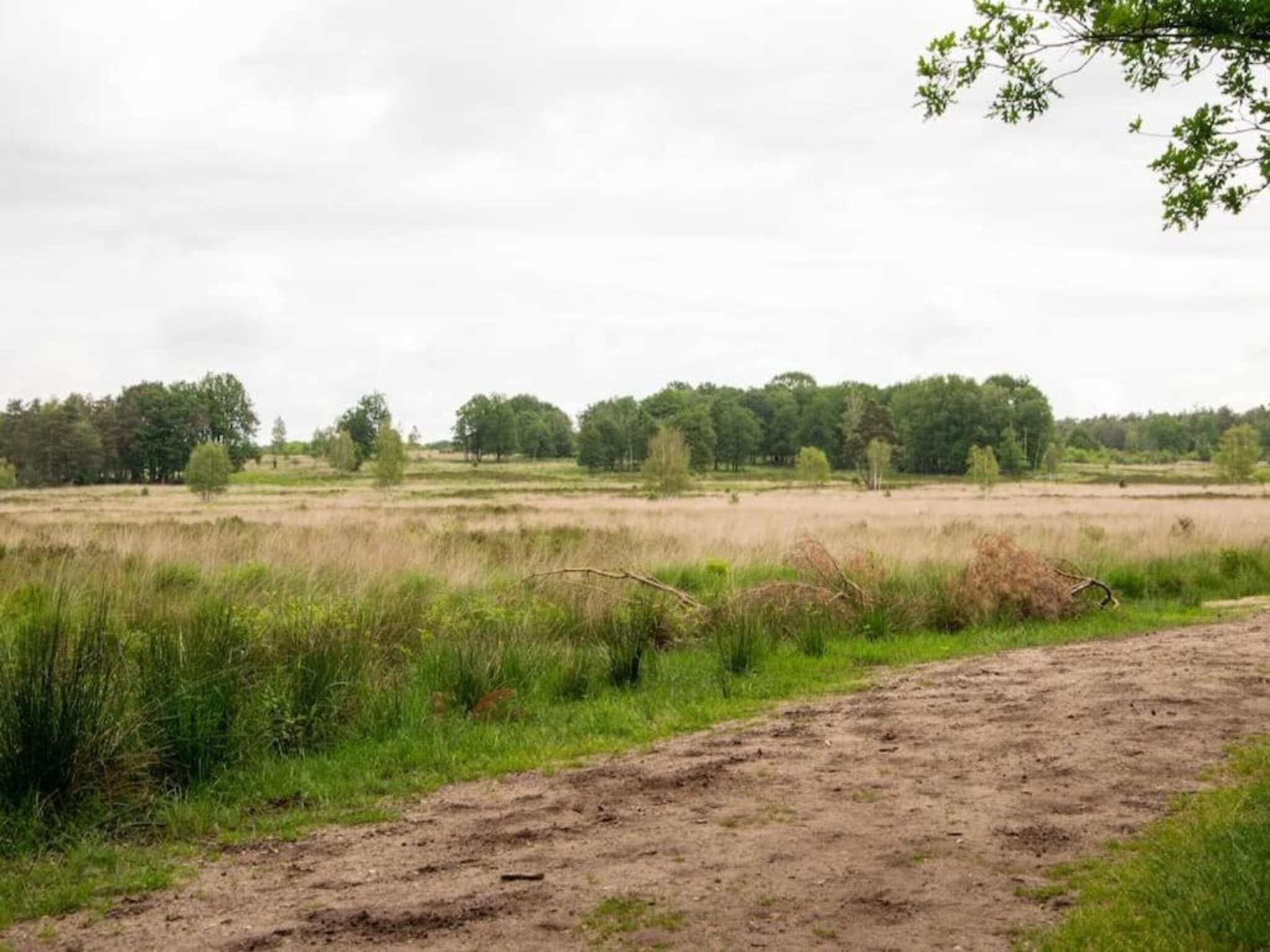 Bungalowpark Hoenderloo 3 in Hoenderloo - Foto 38 van 40